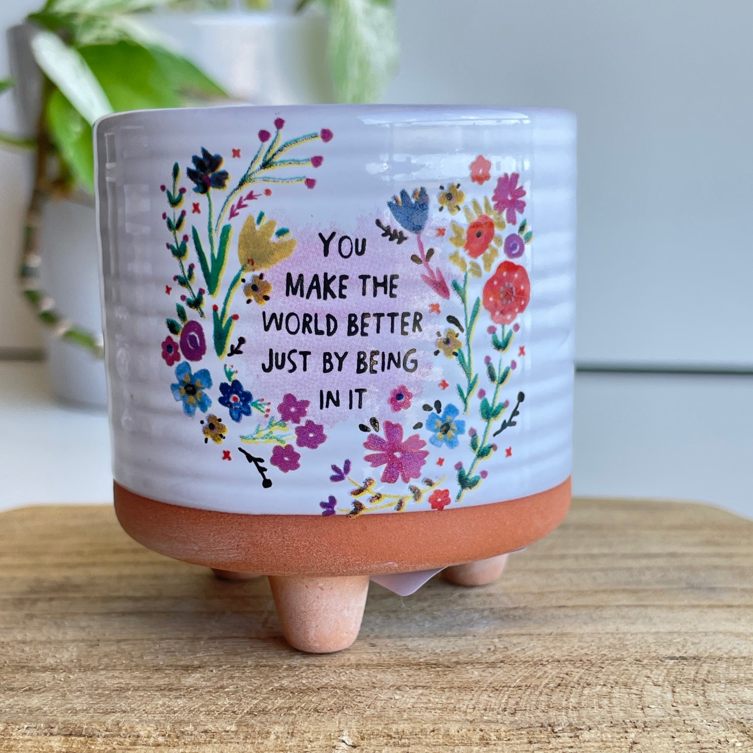 You Make The World Planter PLNT078