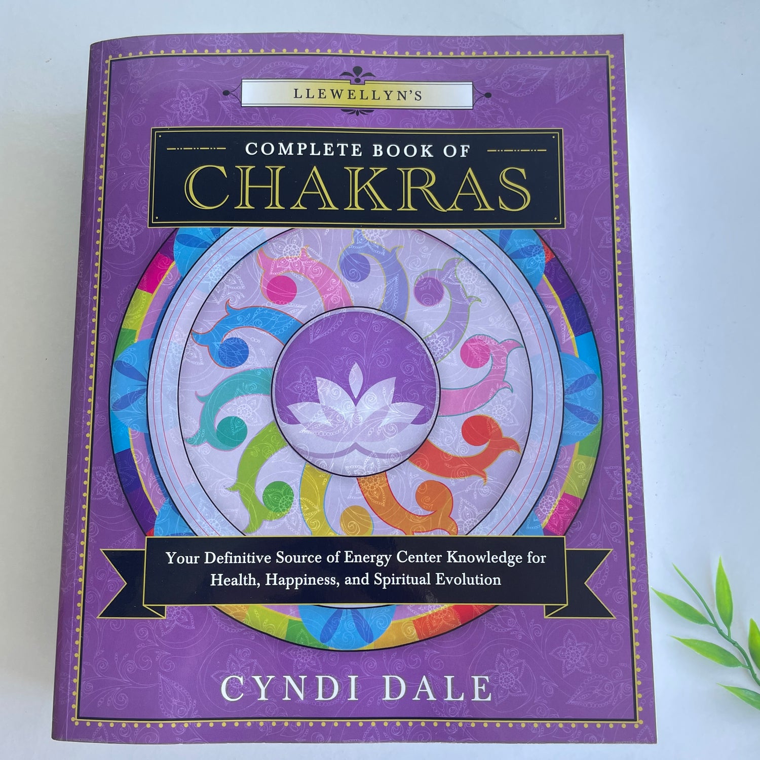 Complete Book Of Chakras Cyndi Dale