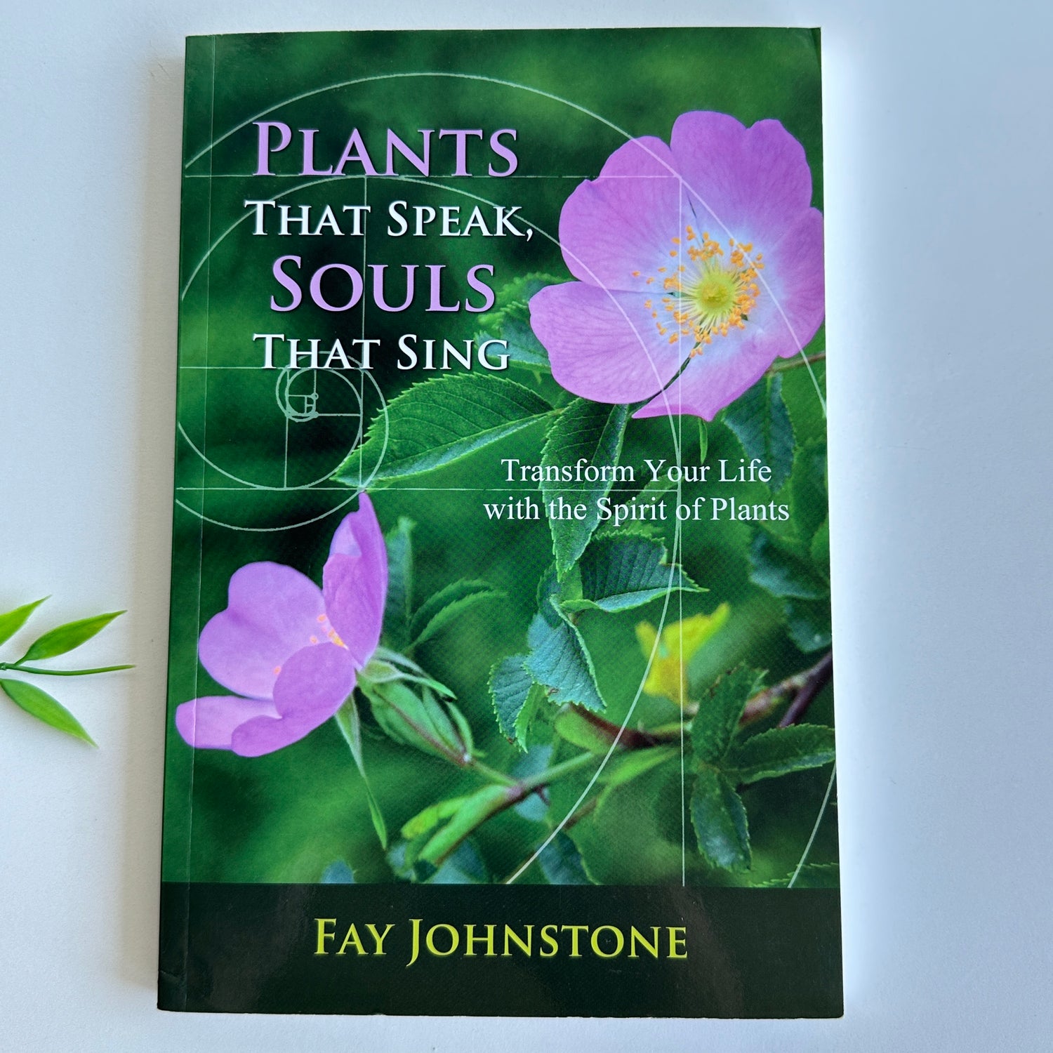 Plants That Speak, Souls That Sing Fay Johnstone