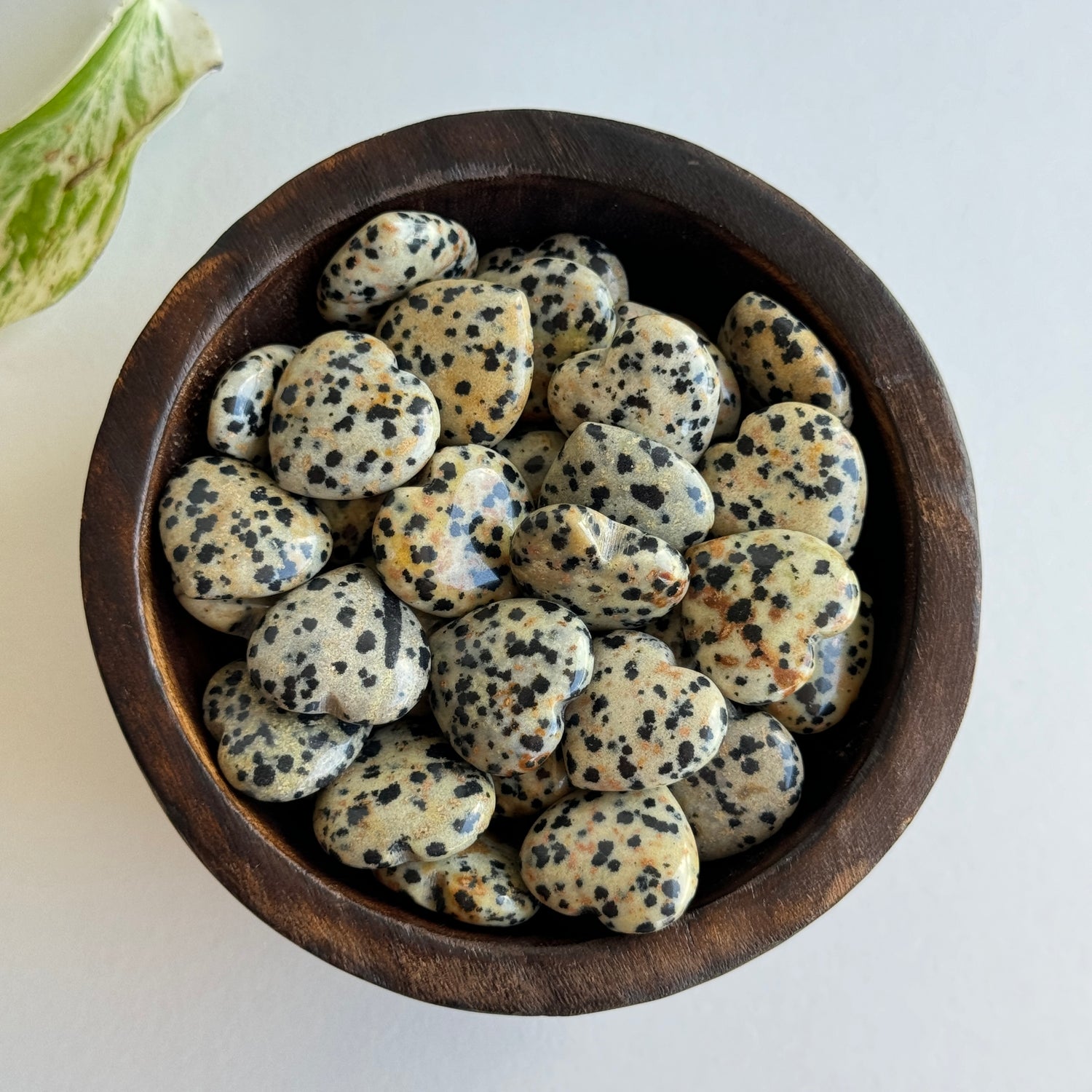 Dalmatian Jasper Mini Heart 2cm