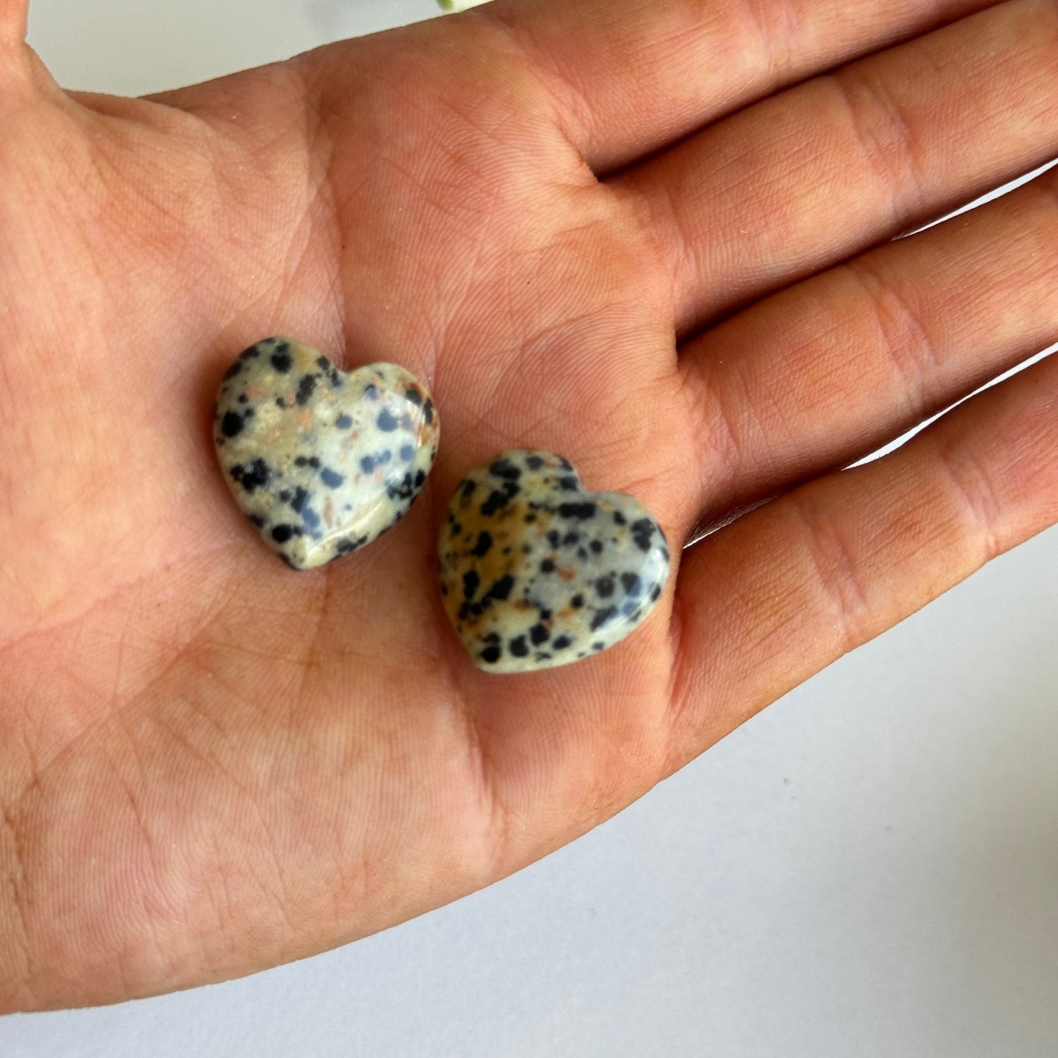 Dalmatian Jasper Mini Heart 2cm