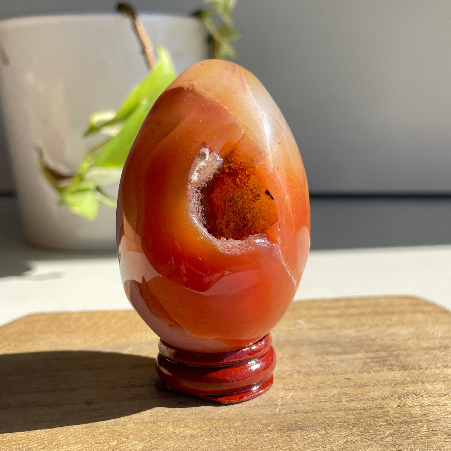Carnelian Geode Egg 184g