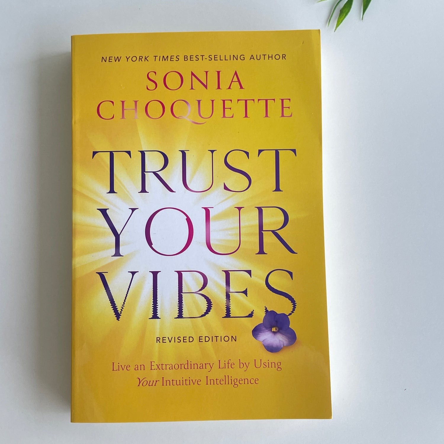 Trust Your Vibes Book Sonia Choquette
