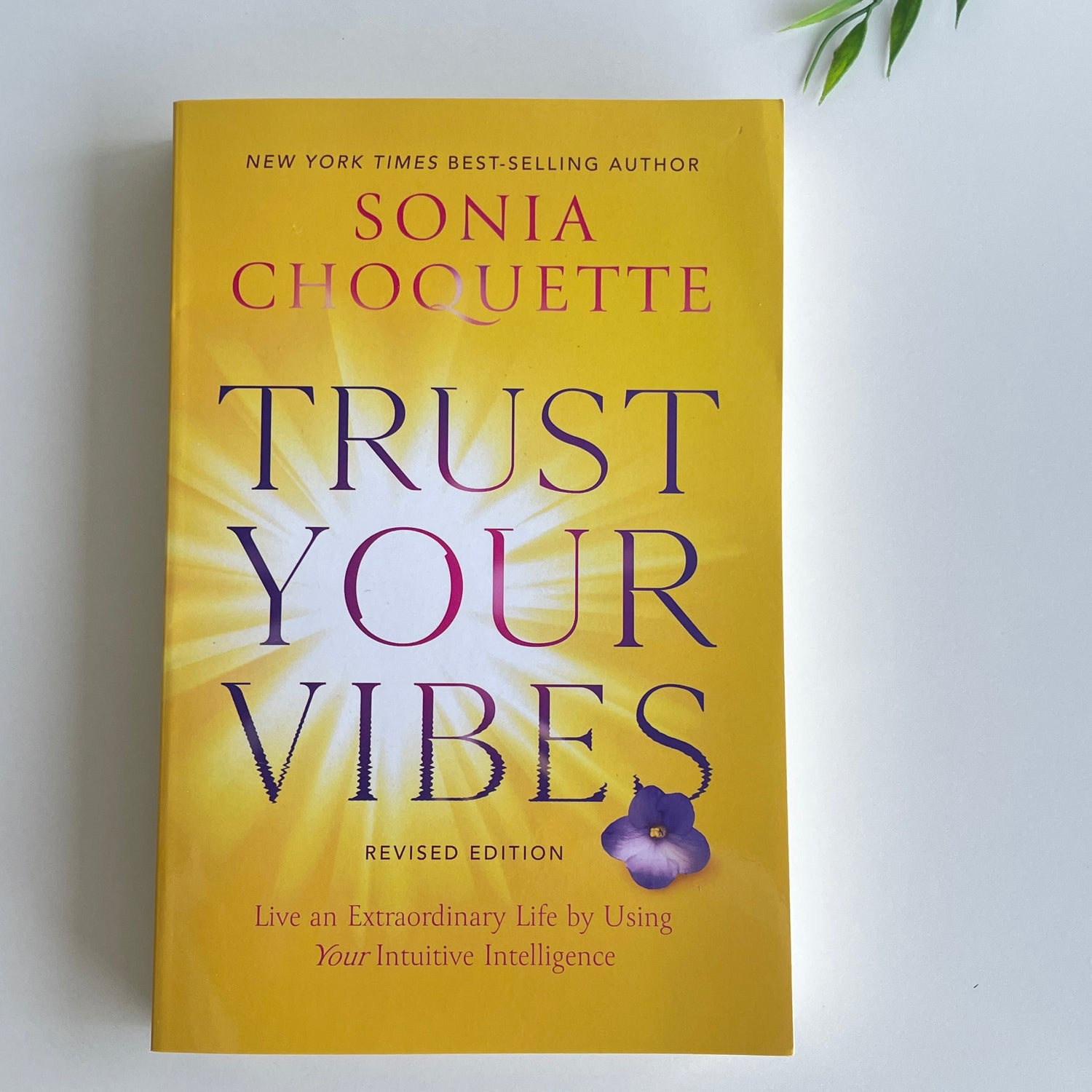 Trust Your Vibes Book Sonia Choquette
