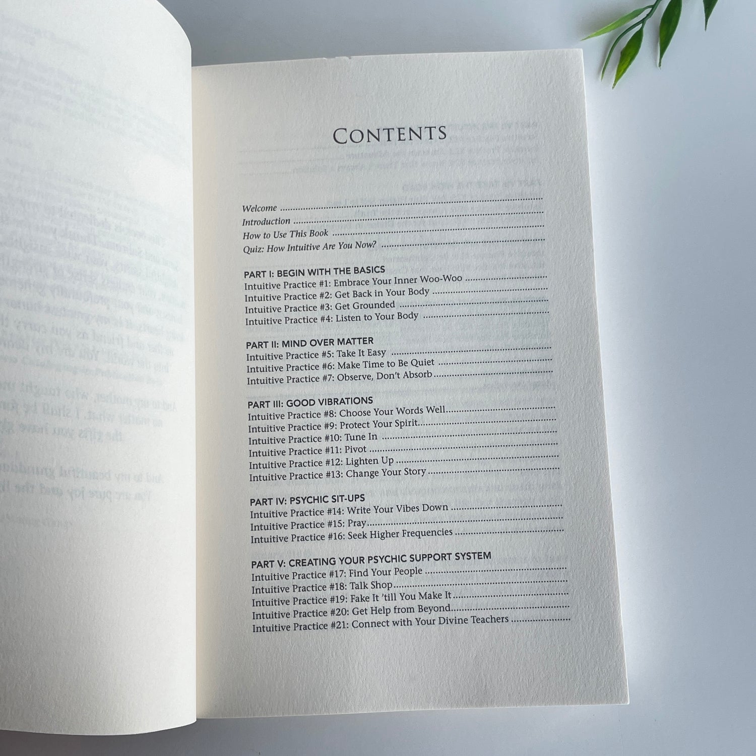 Trust Your Vibes Book Sonia Choquette