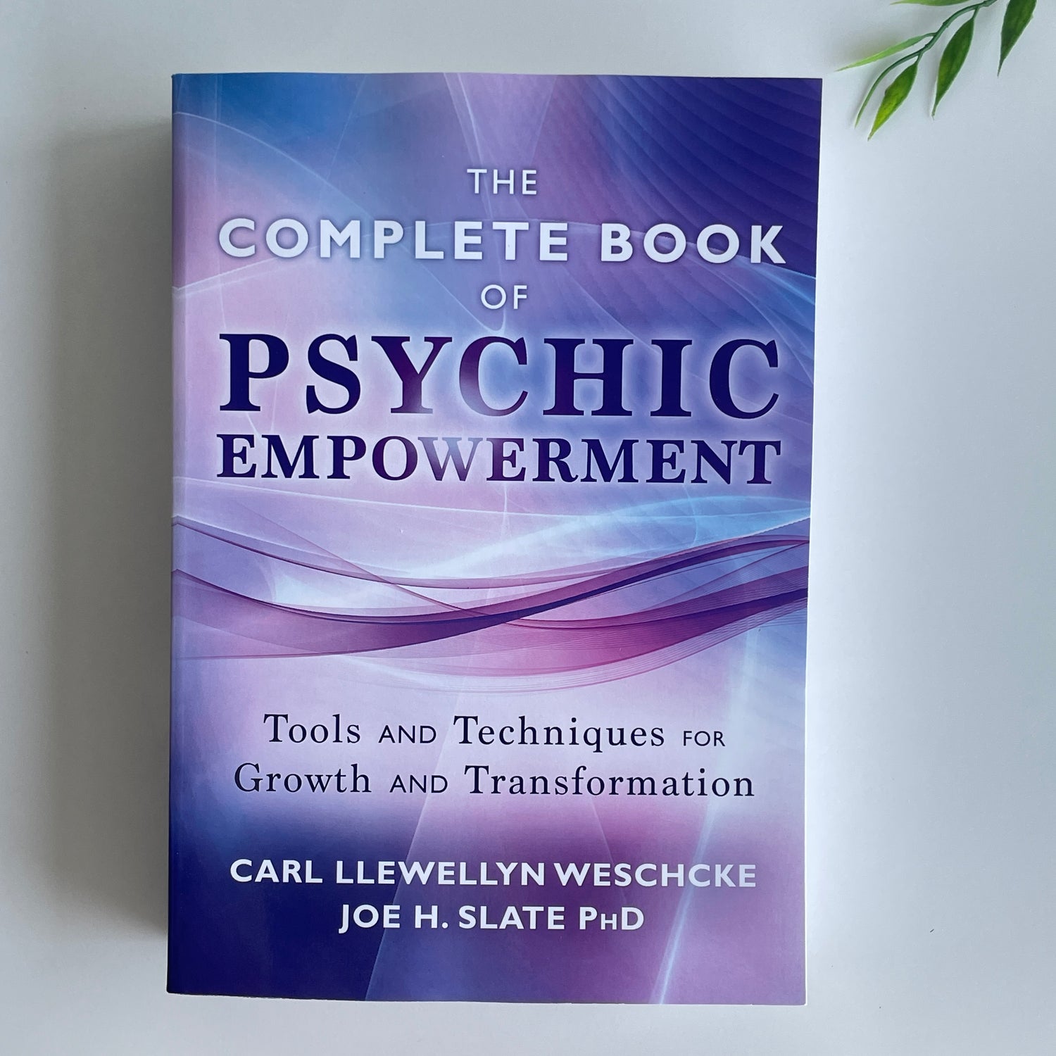 The Complete Book Of Psychic Empowerment Carl Llewellyn Weschcke