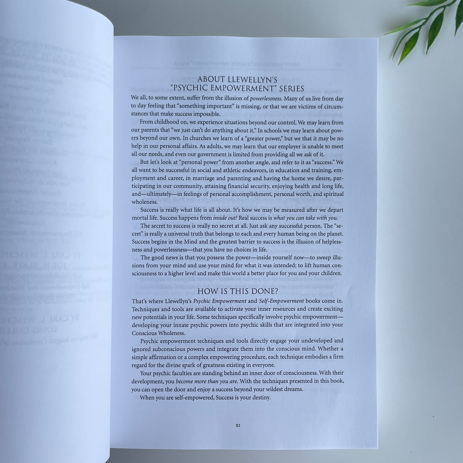 The Complete Book Of Psychic Empowerment Carl Llewellyn Weschcke