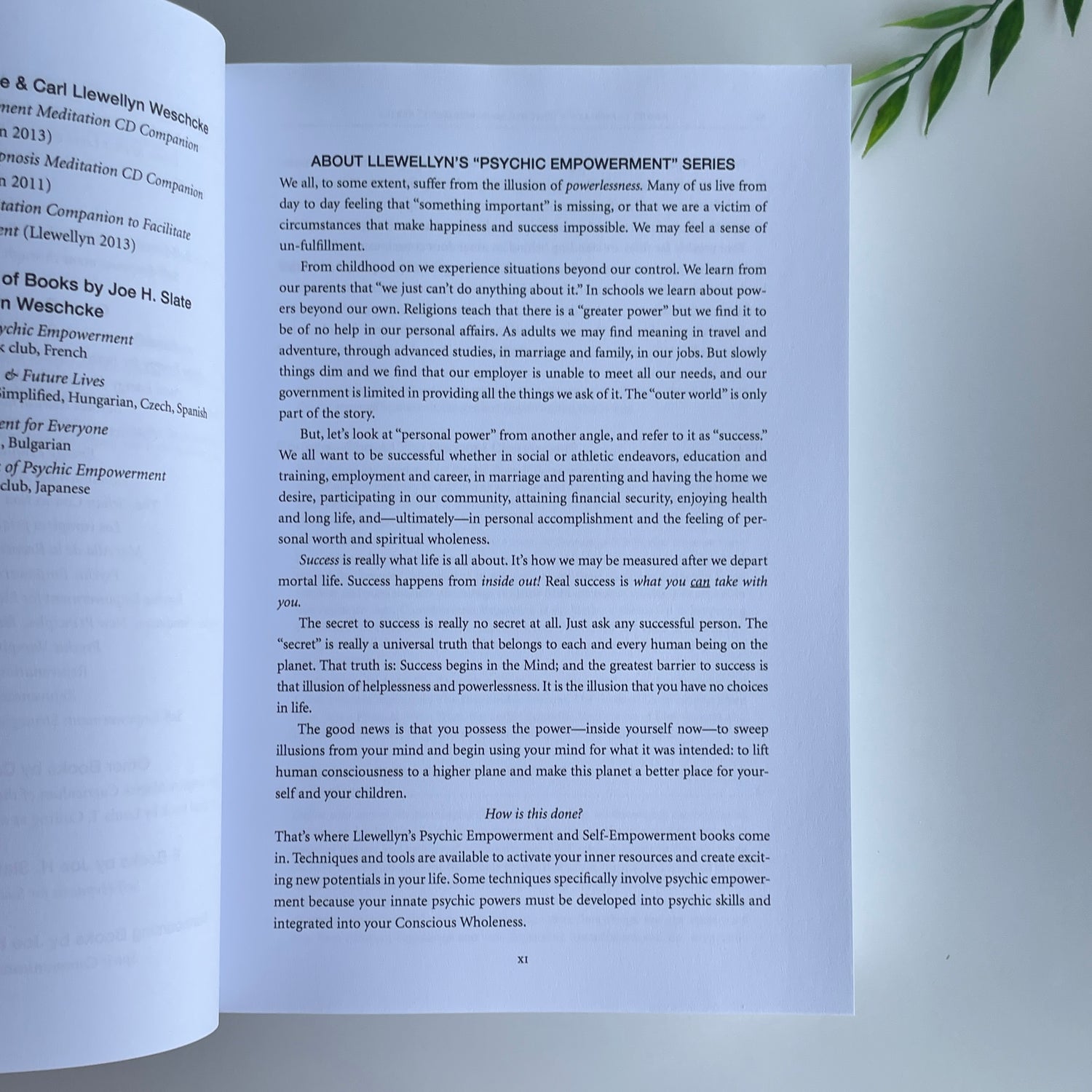 Clairvoyance For Psychic Empowerment Carl Llewellyn Weschcke