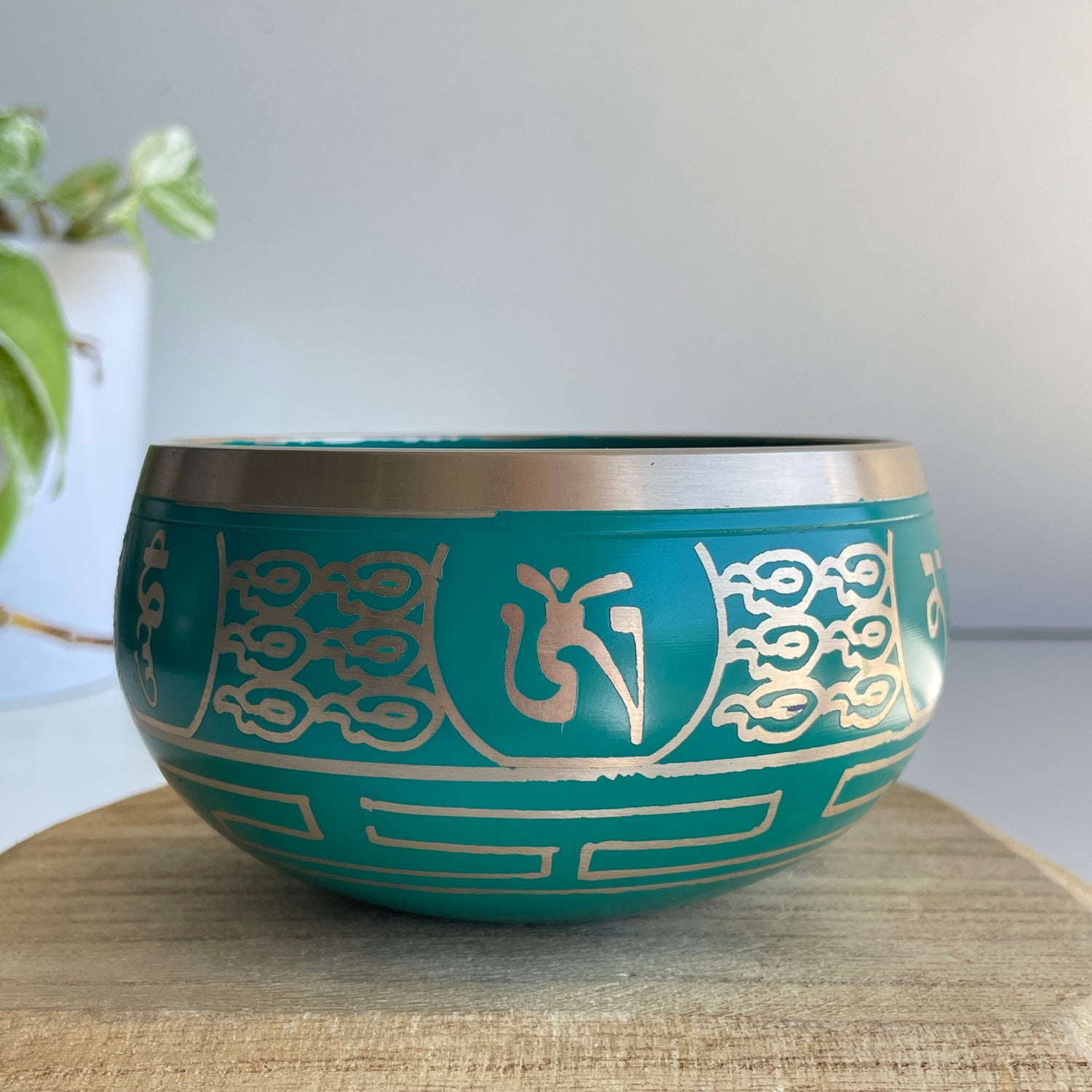 Green Tibetan Singing Bowl BS1665G