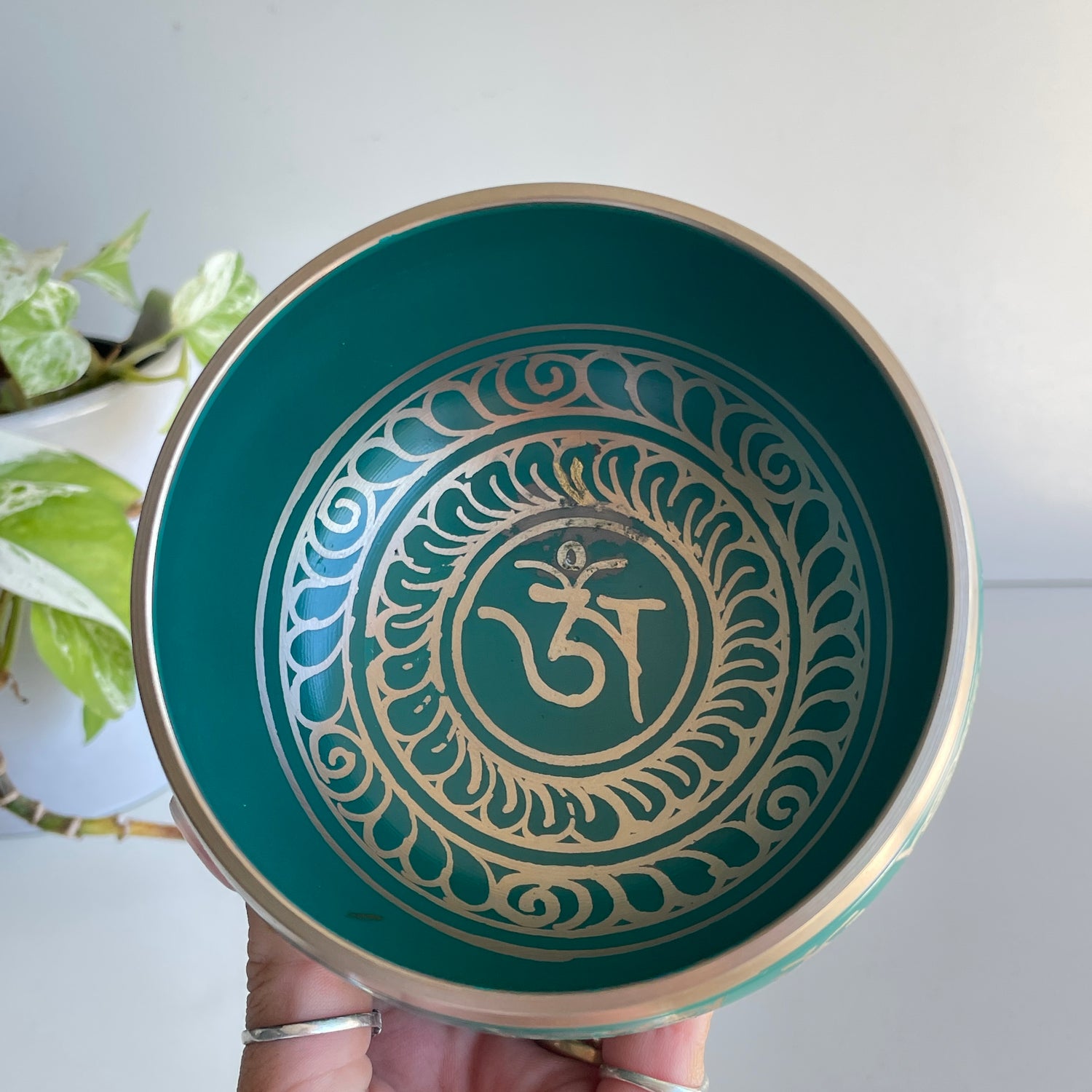 Green Tibetan Singing Bowl BS1665G
