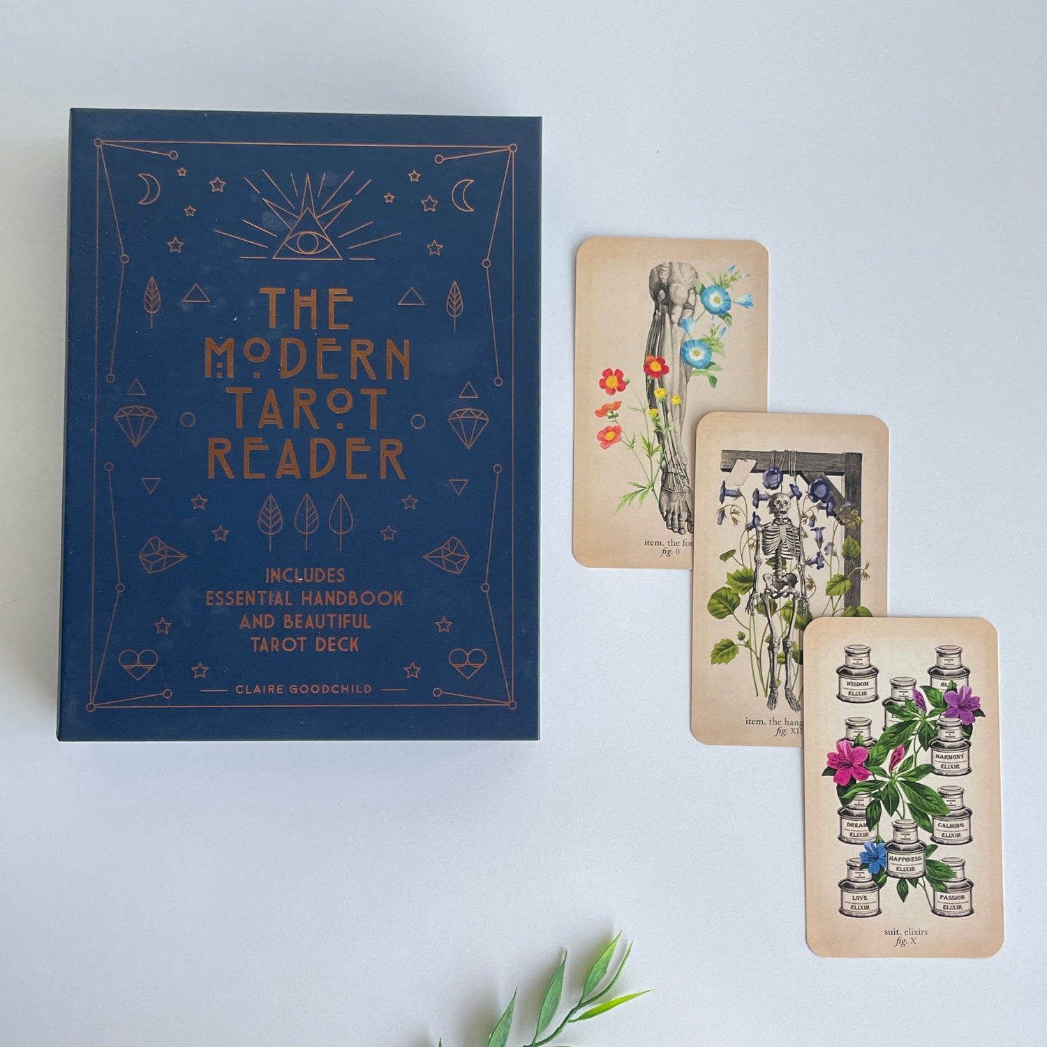 The Modern Tarot Reader