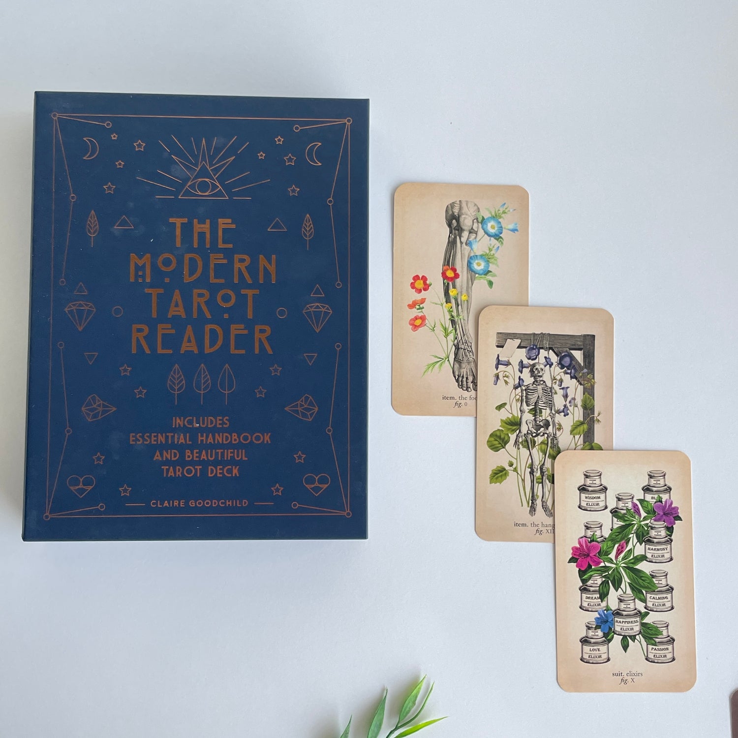 The Modern Tarot Reader