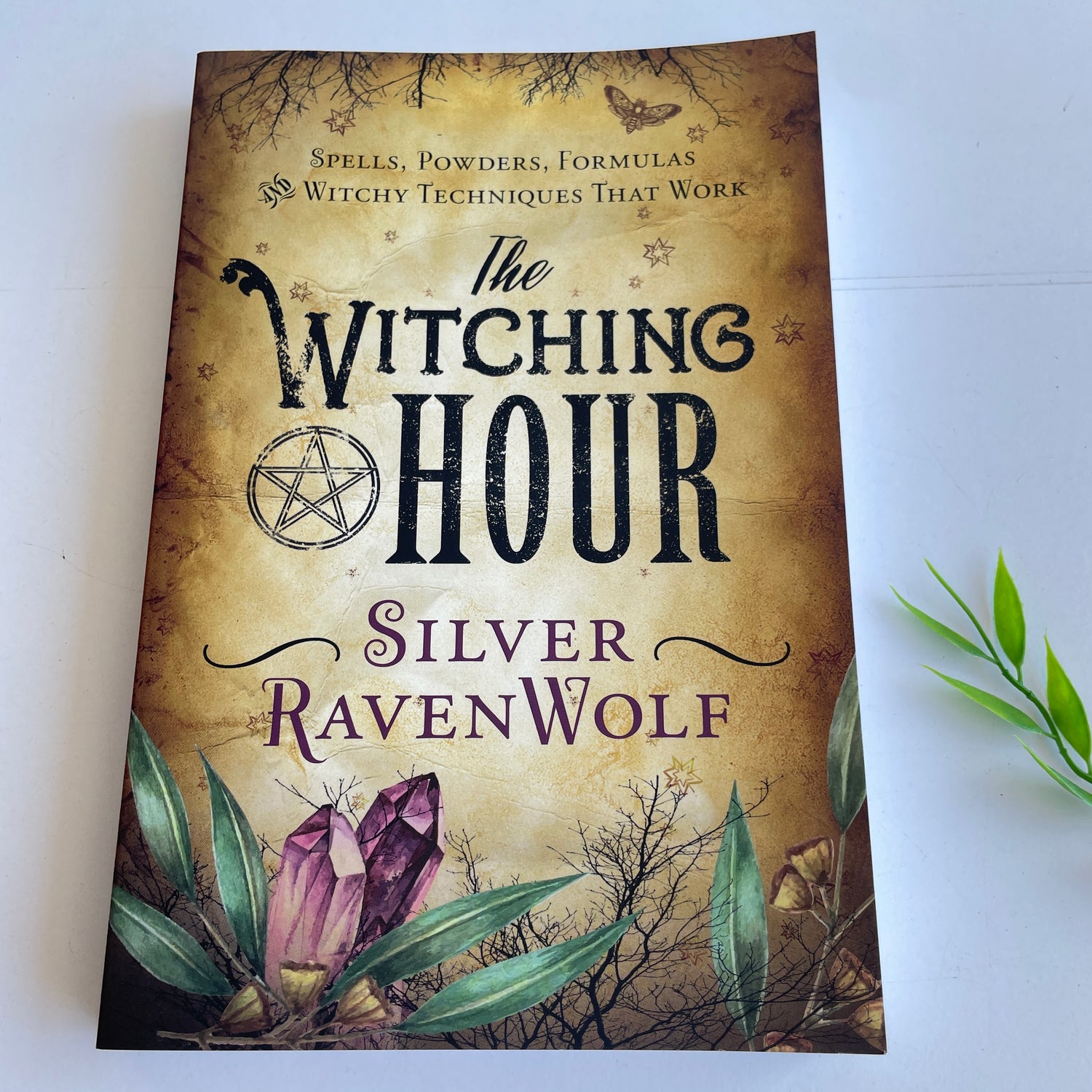 The Witching Hour SilverRavenWolf