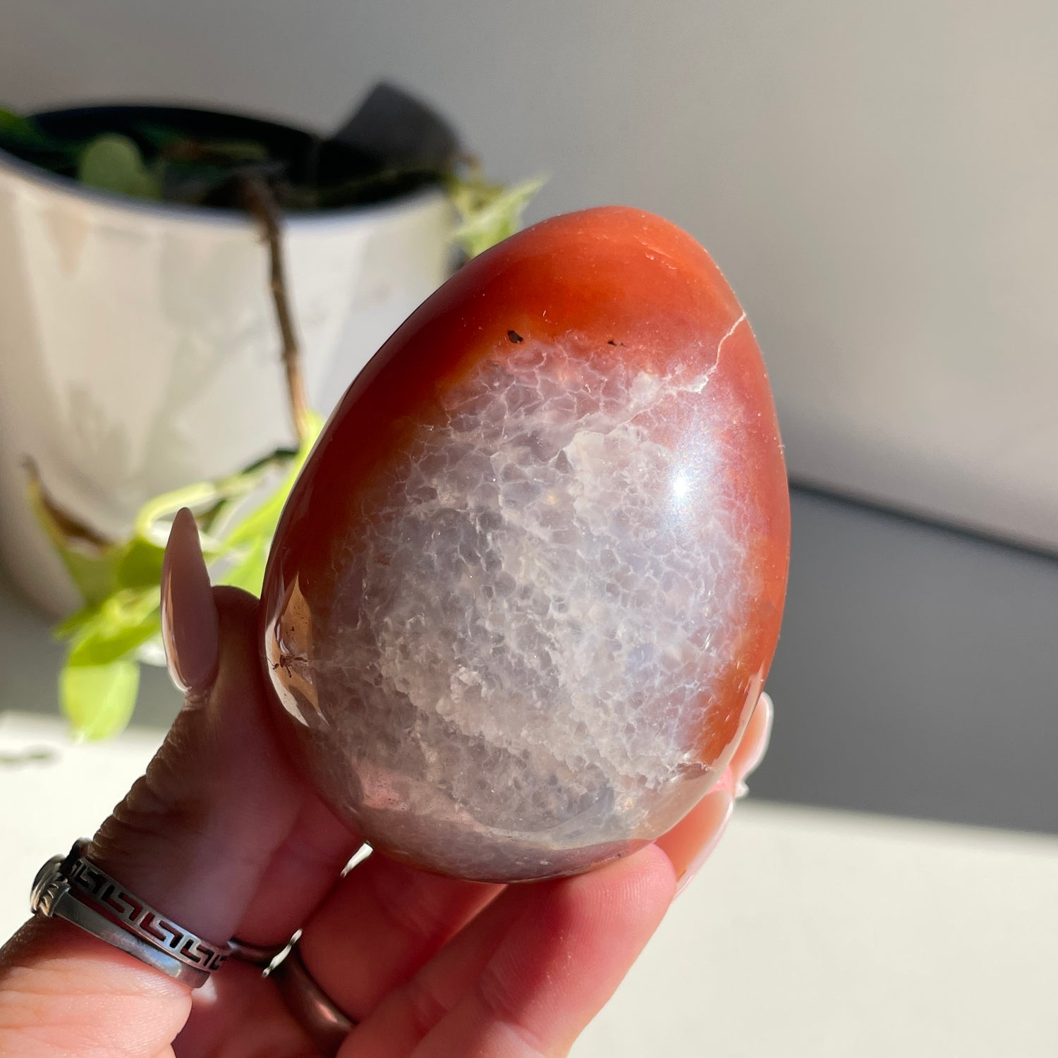Carnelian Egg 282g