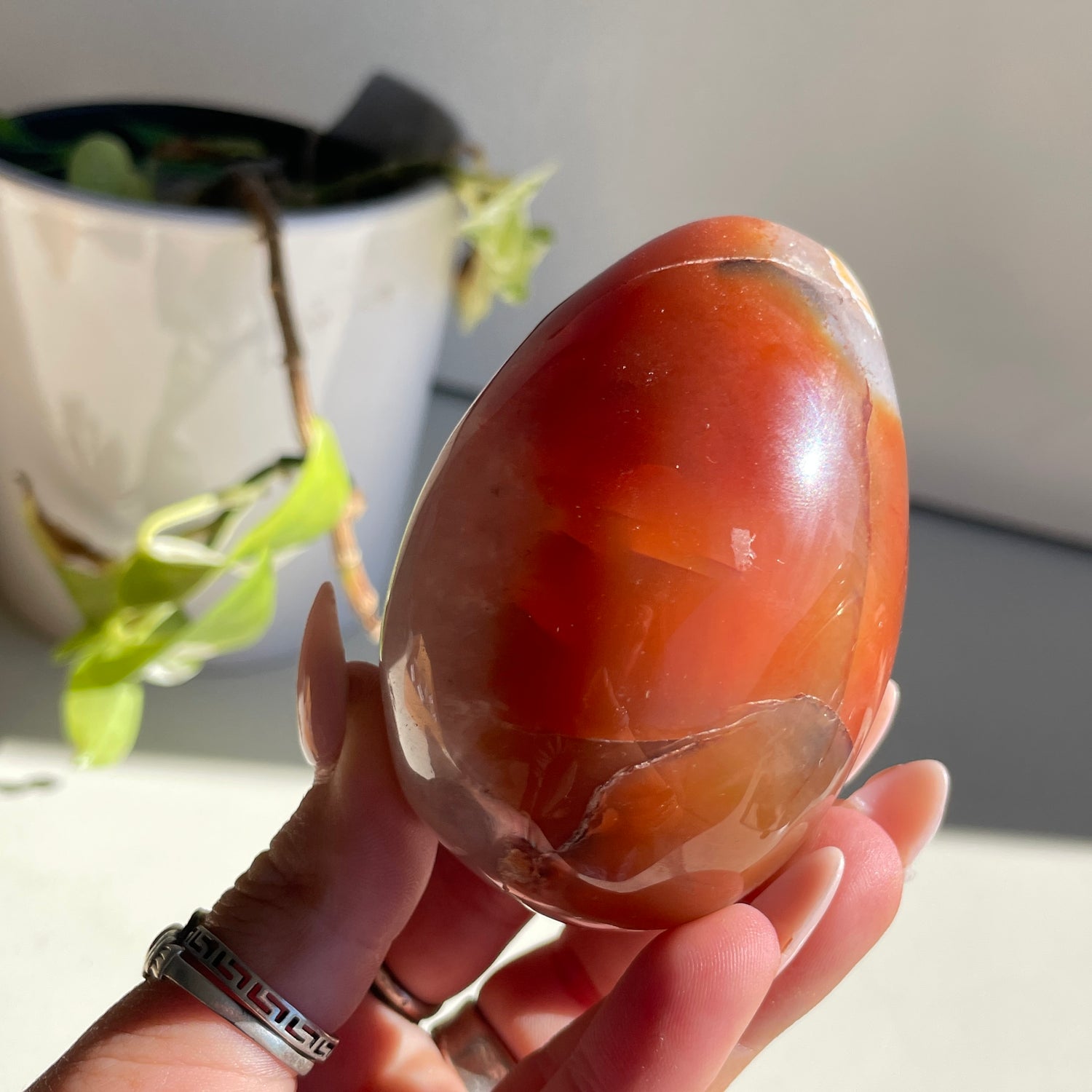Carnelian Egg 282g