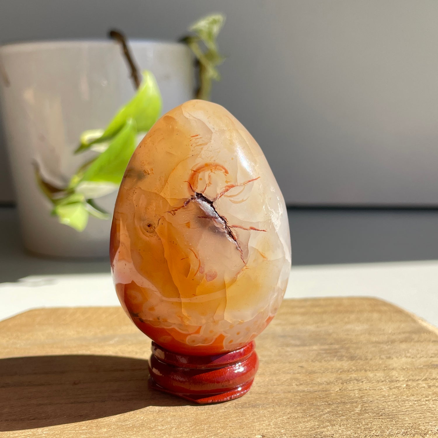 Carnelian Egg 180g