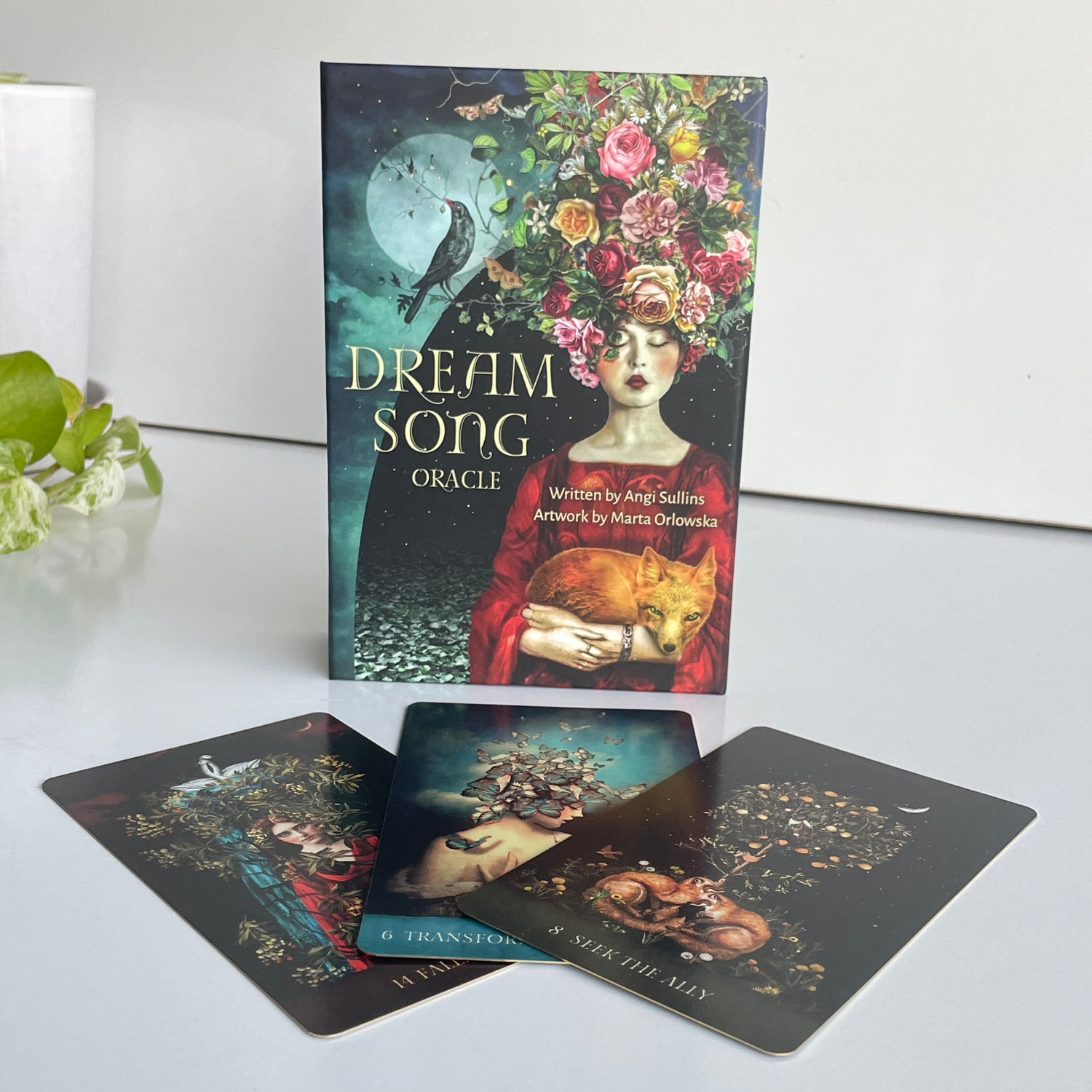 Dream Song Oracle Angi Sullins