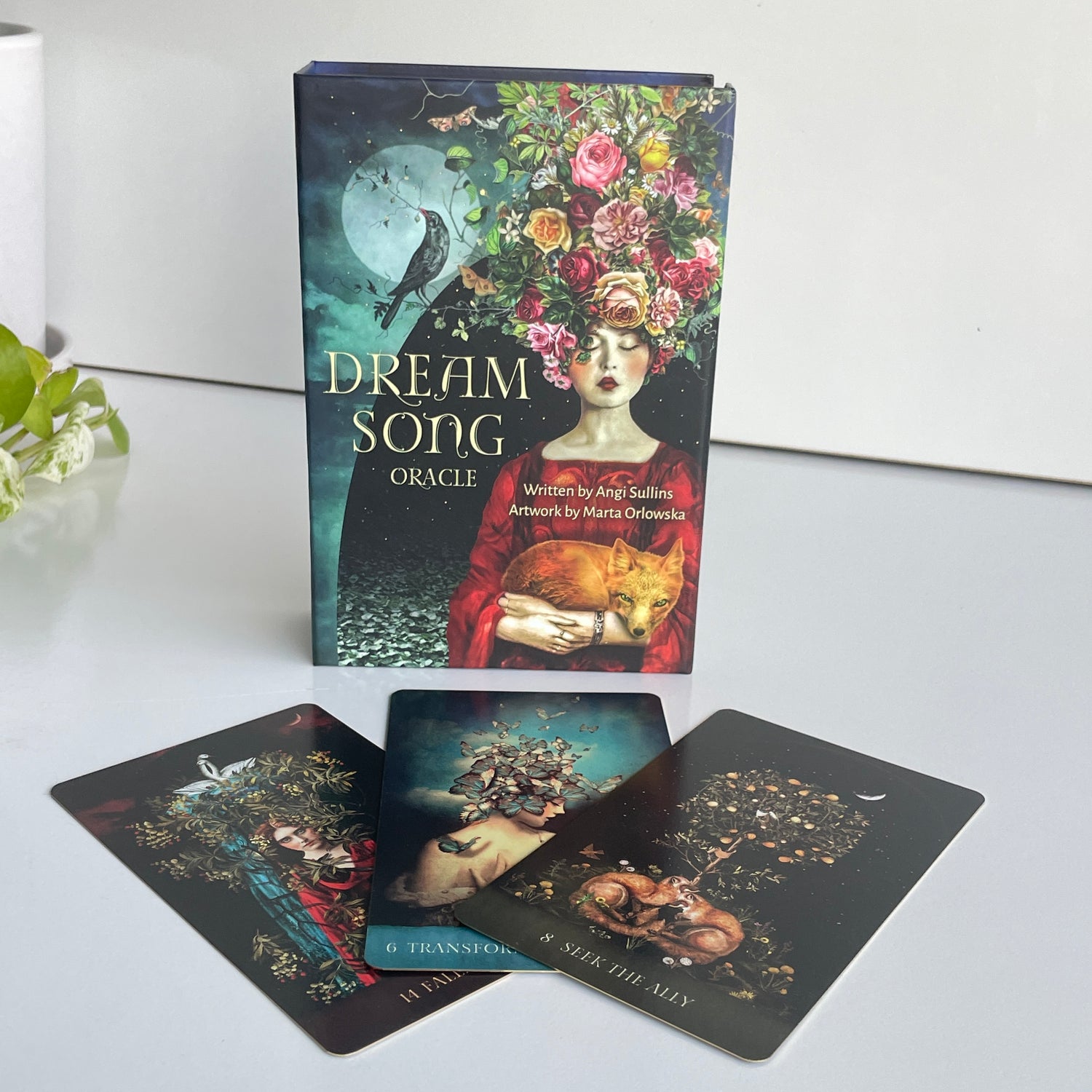 Dream Song Oracle Angi Sullins