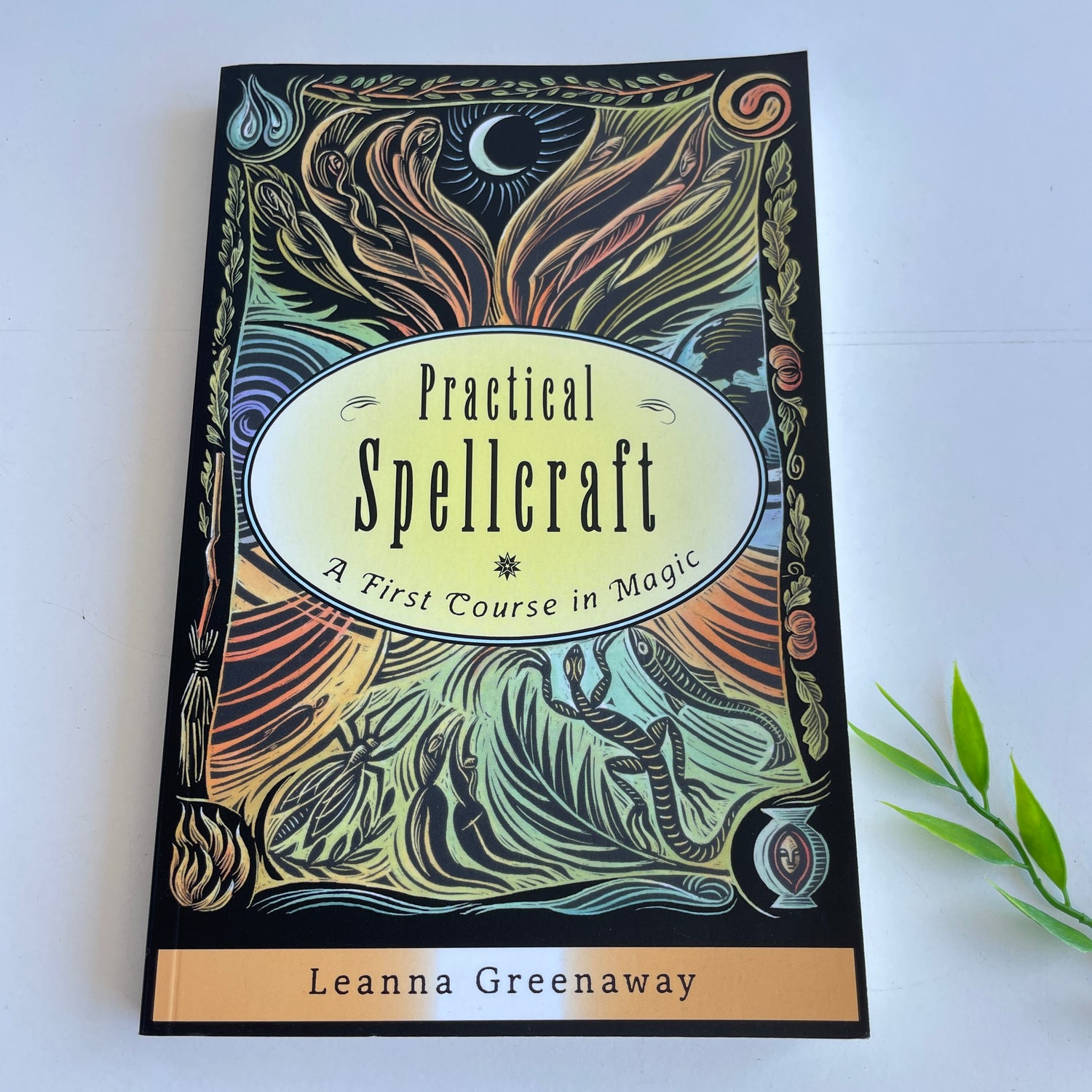 Practical Spellcraft Leanna Greenaway