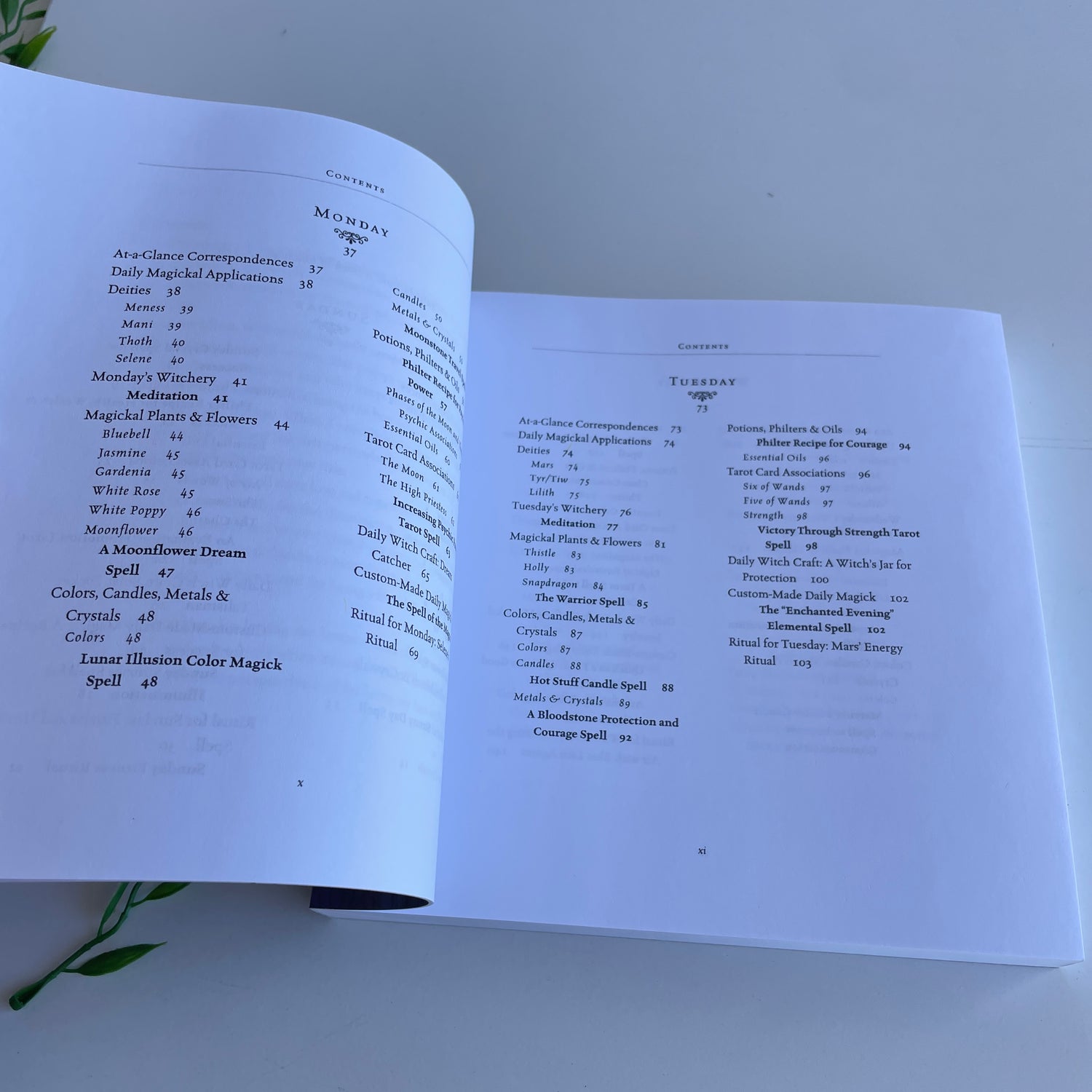 Book Of Witchery Ellen Dugan