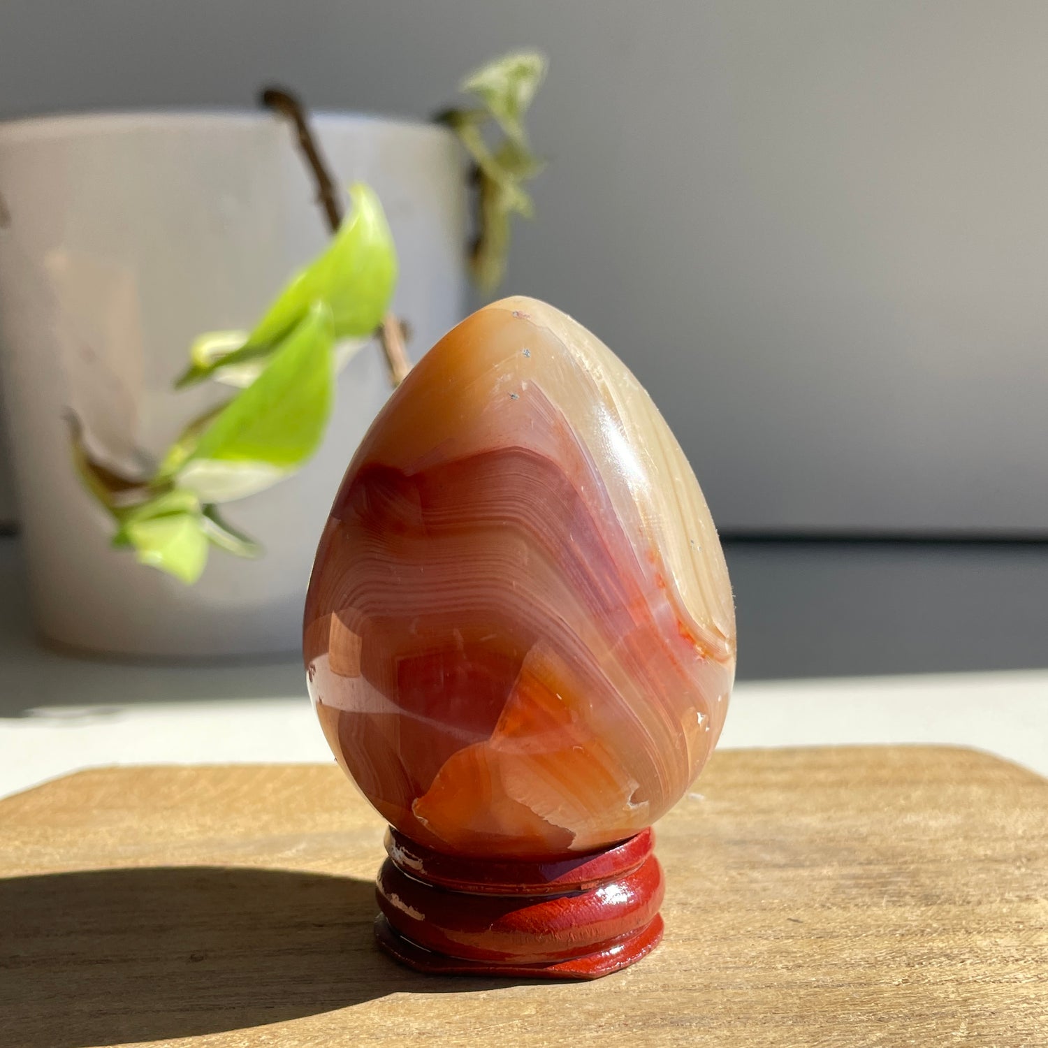 Carnelian Egg 142g