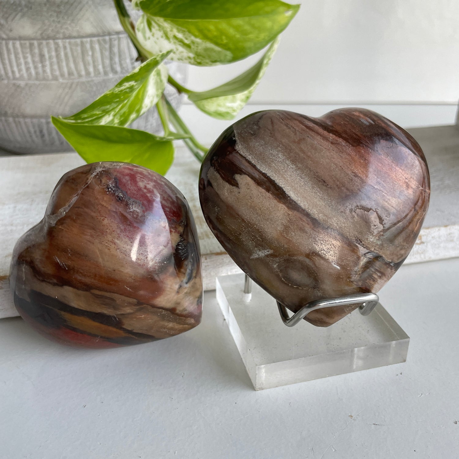 Petrified Wood Heart Medium