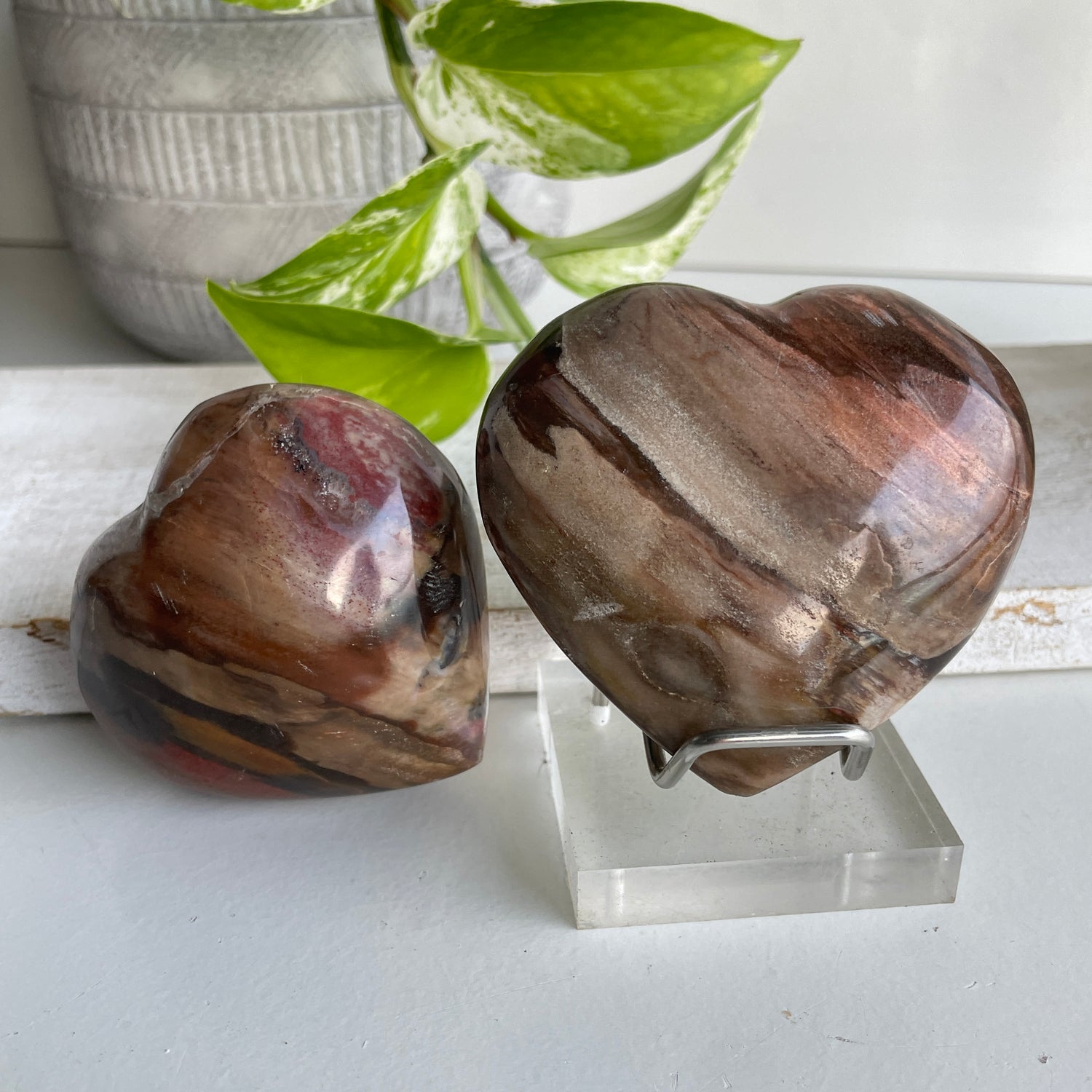 Petrified Wood Heart Medium