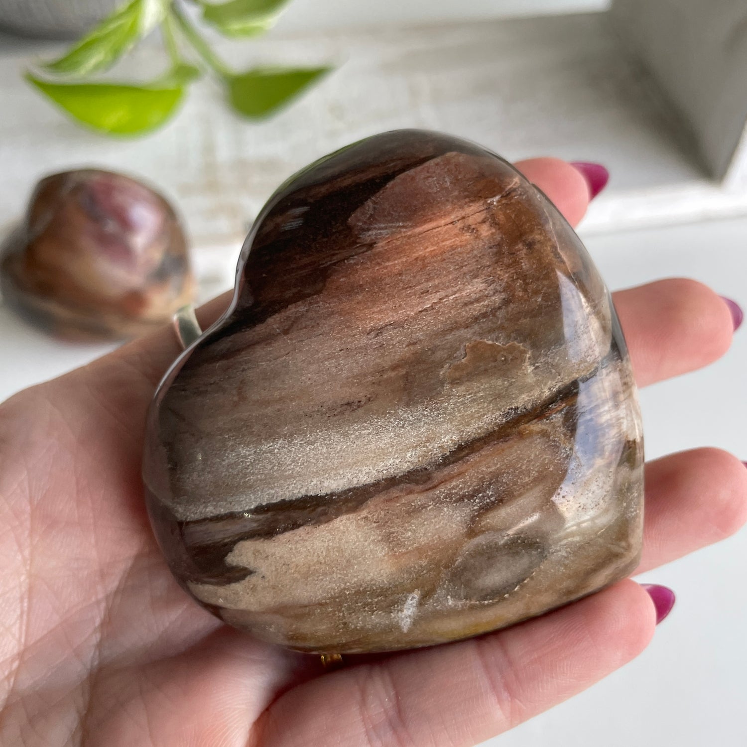 Petrified Wood Heart Medium