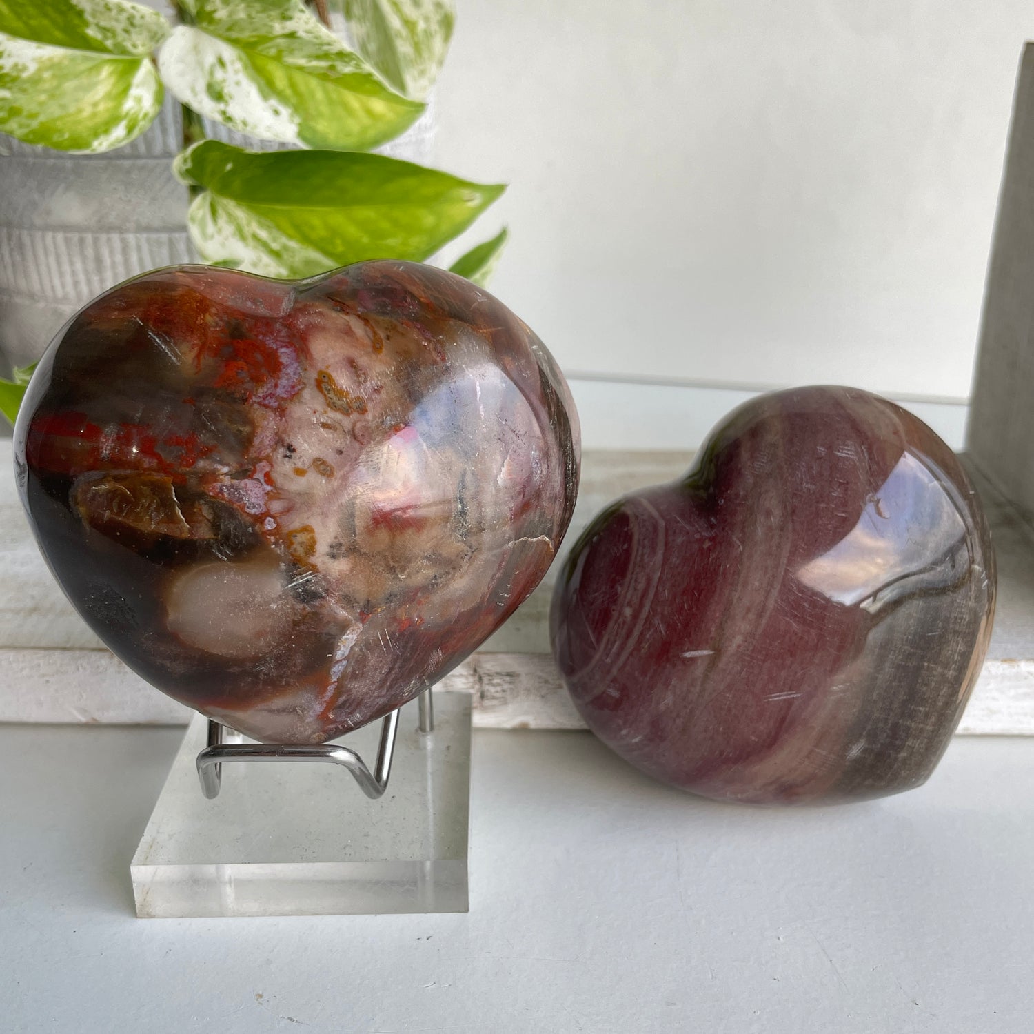 Petrified Wood Heart Large