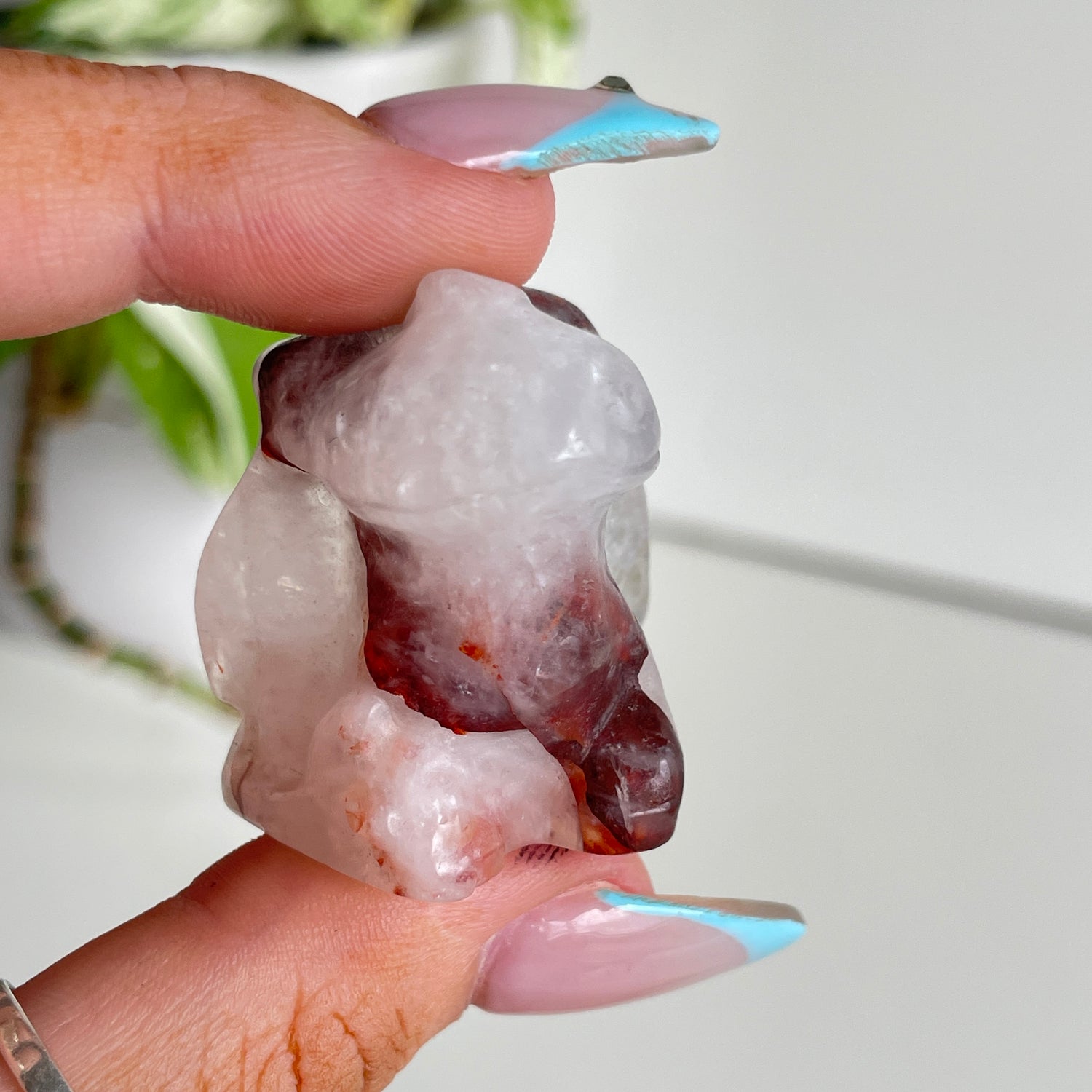 Crystal Small Toothless