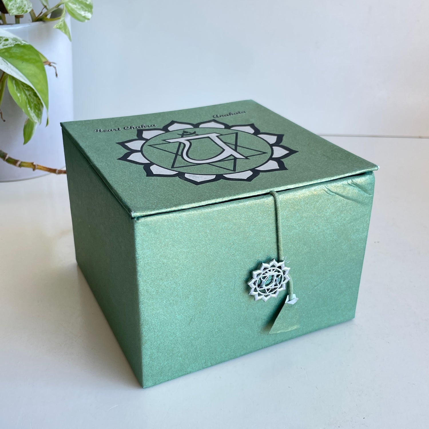 Heart Chakra Singing Bowl Box Set 30116096