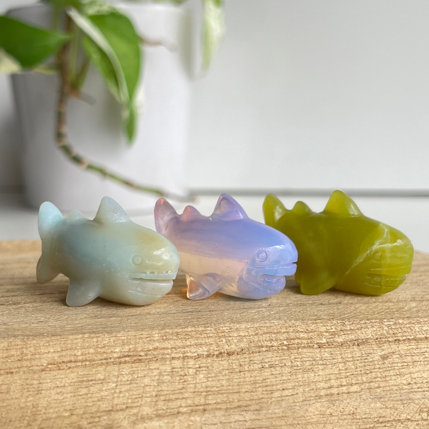 Crystal Shark