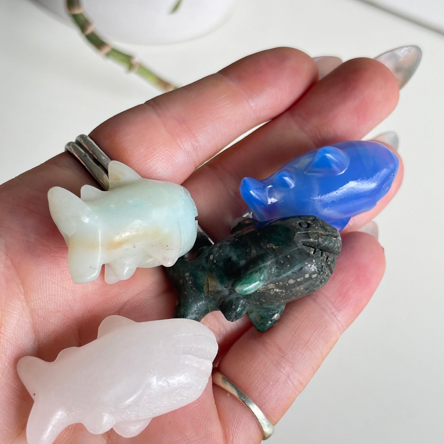 Crystal Shark