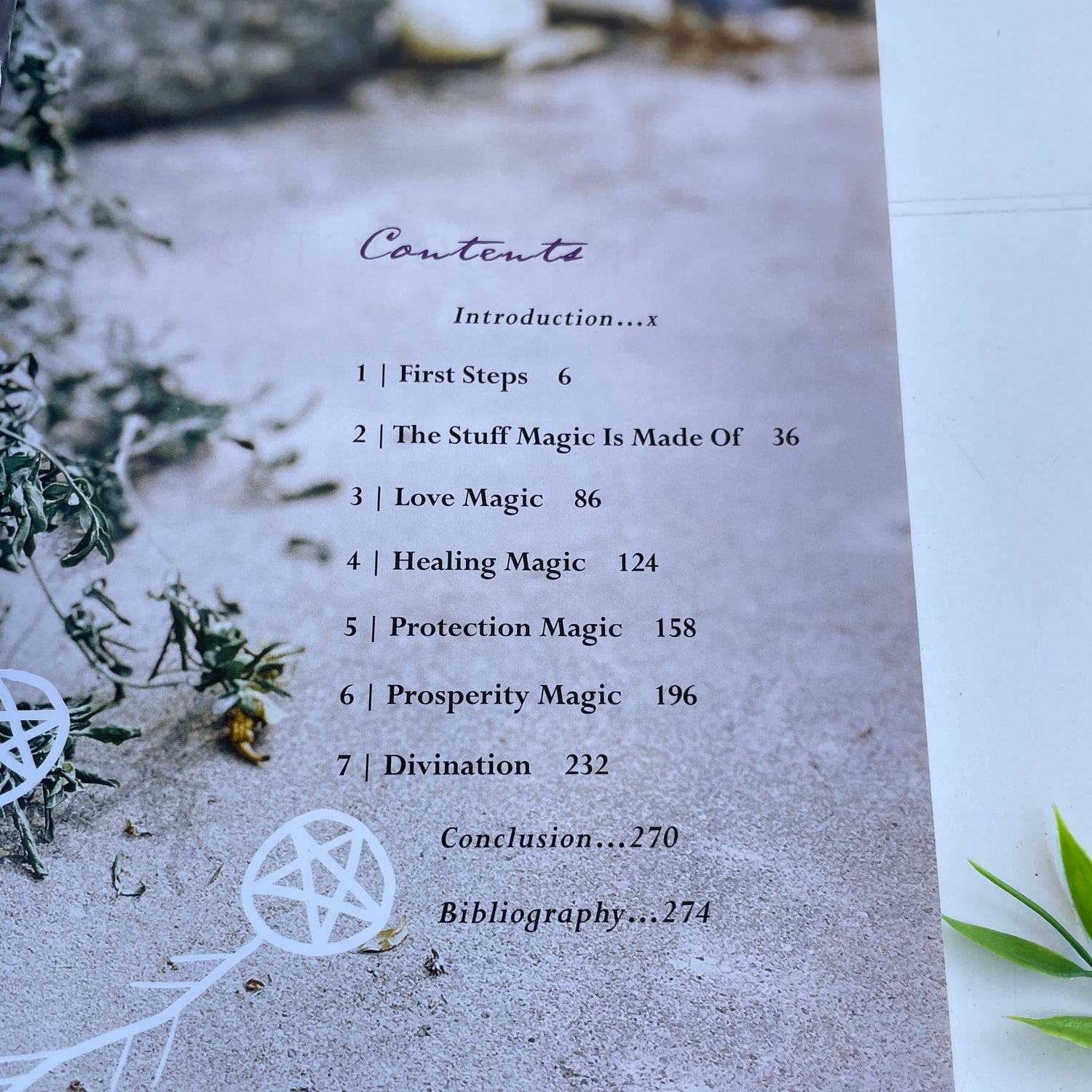 Modern Witch Devin Hunter