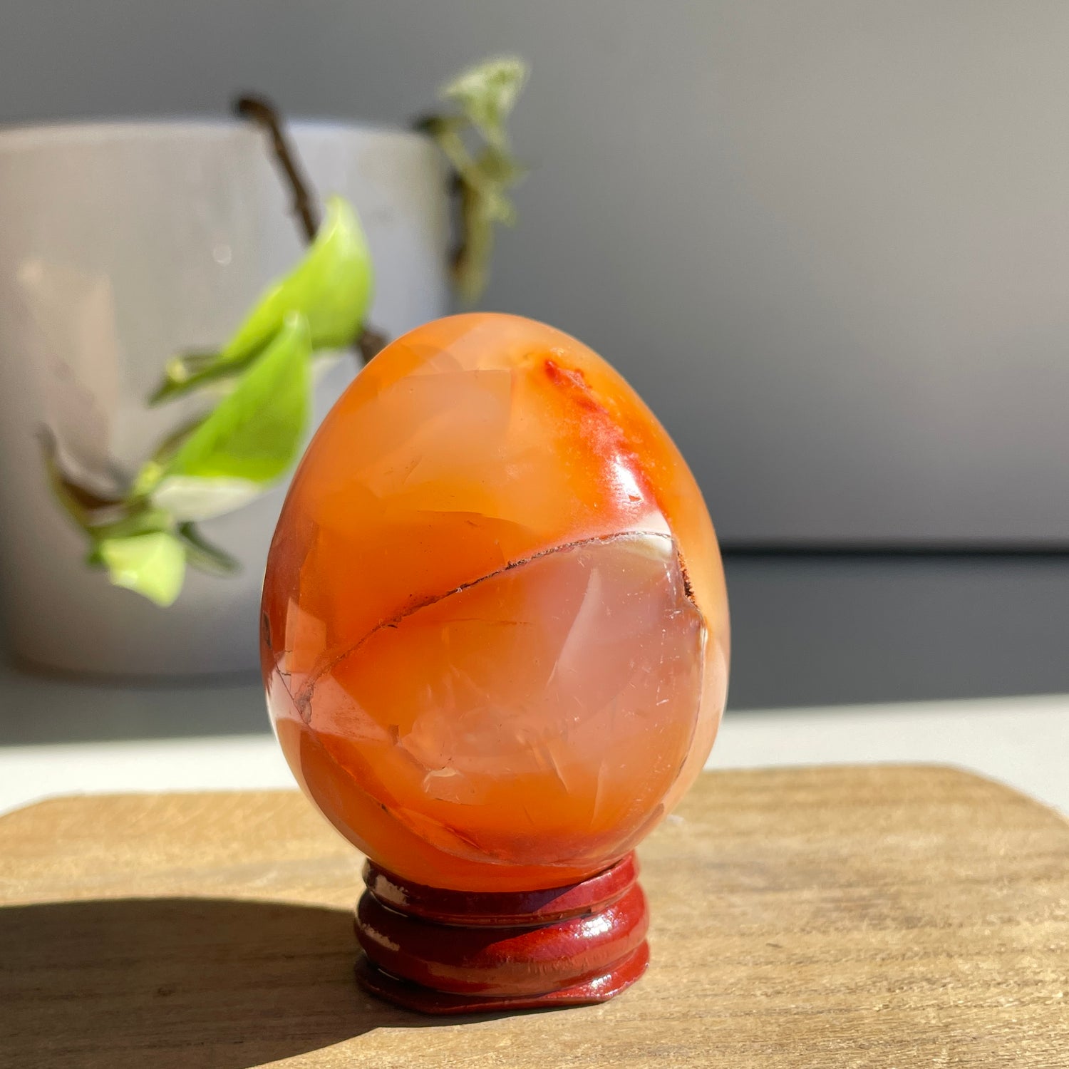 Carnelian Egg 166g
