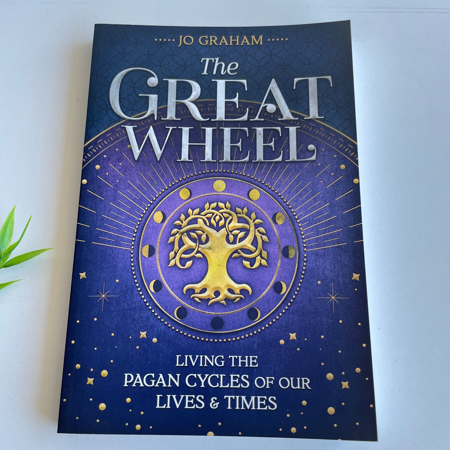 The Great Wheel Jo Graham