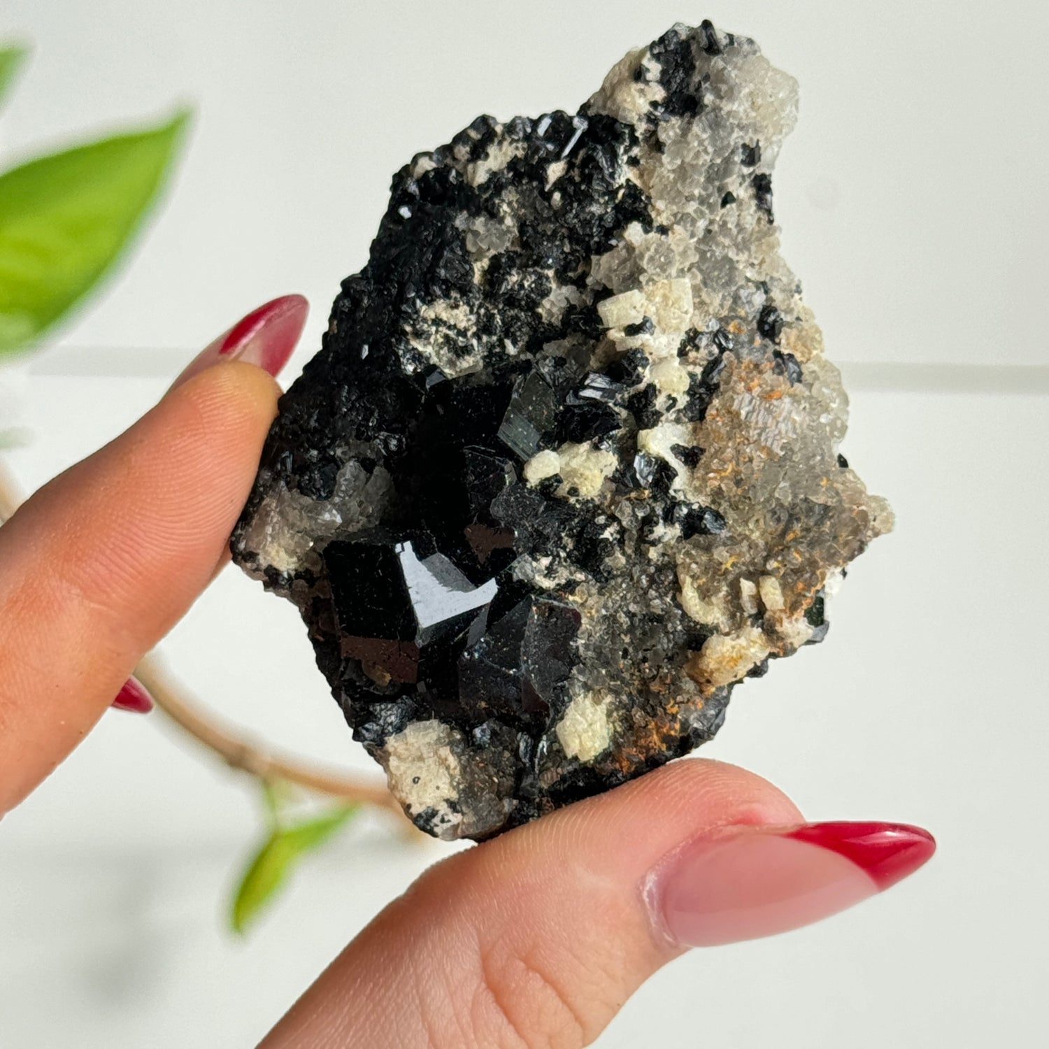 Nambian Black Tourmaline Pc 006