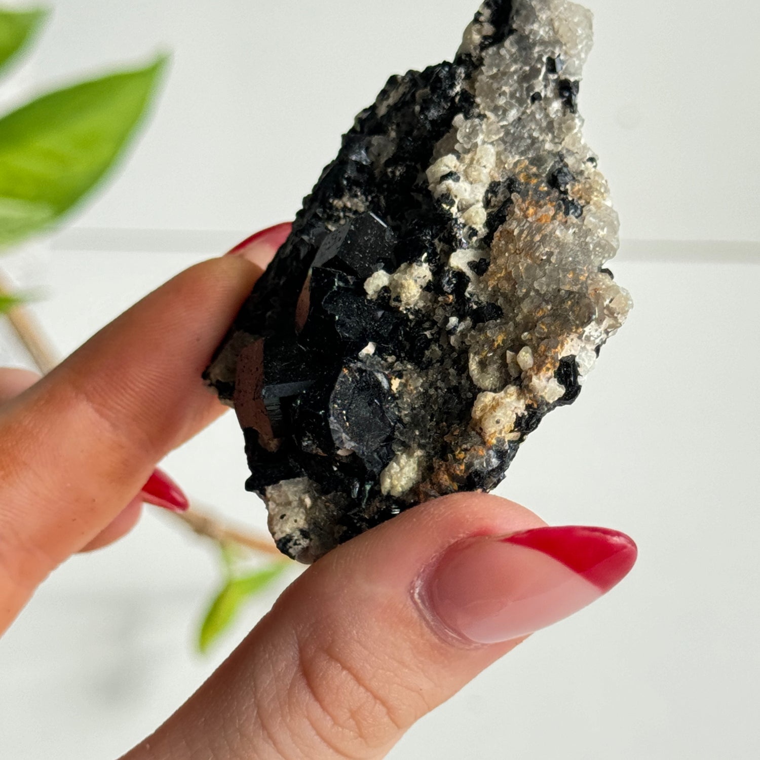 Nambian Black Tourmaline Pc 006