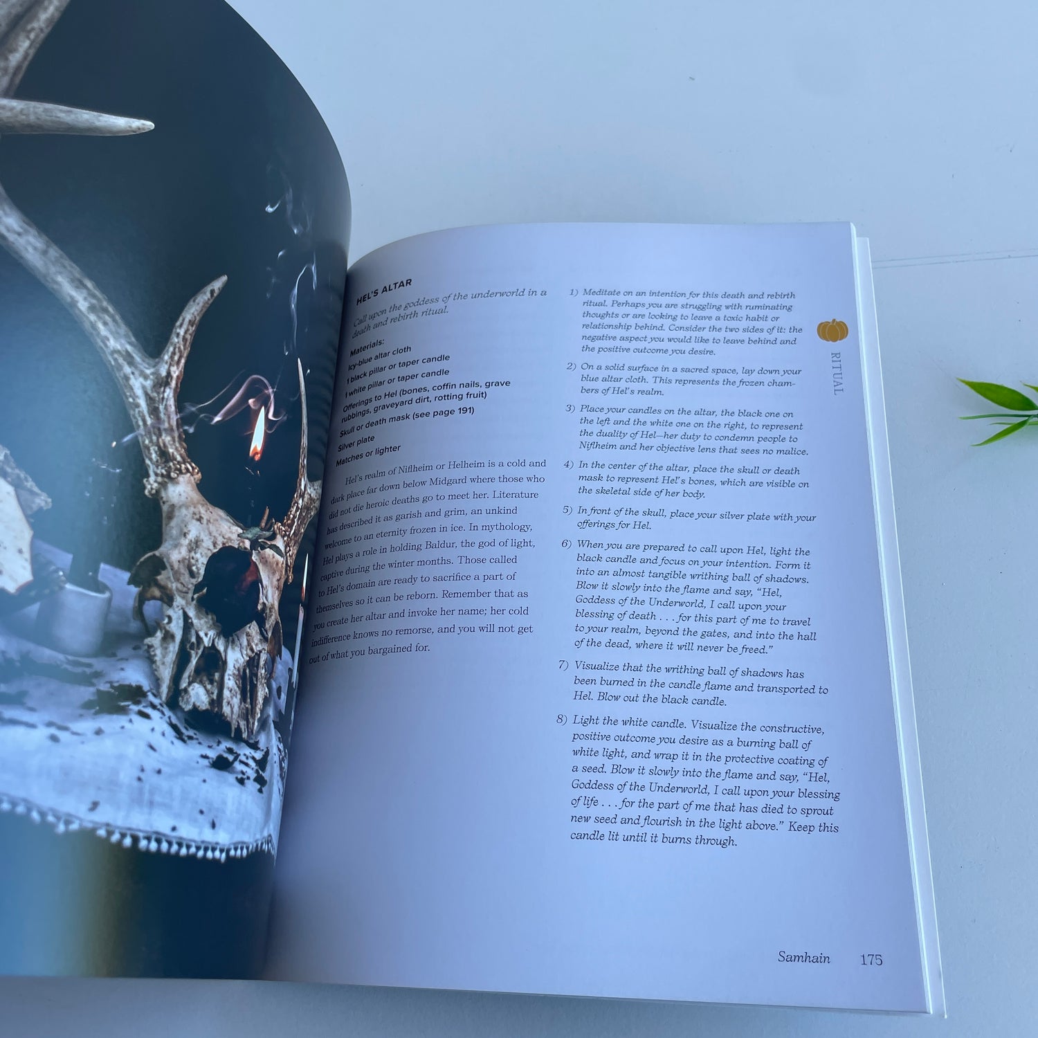 The Ultimate Guide to The  Witch's Wheel Of The Year Anjou Kieman