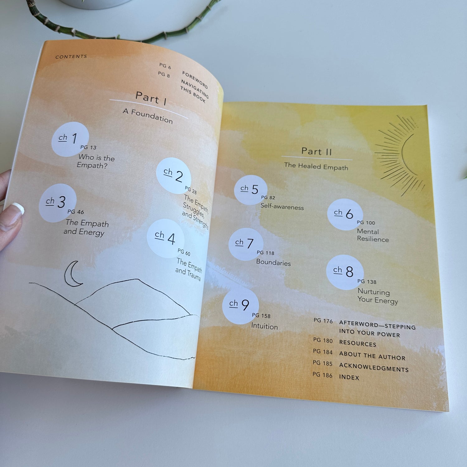 The Healed Empath Kristen Schwartz
