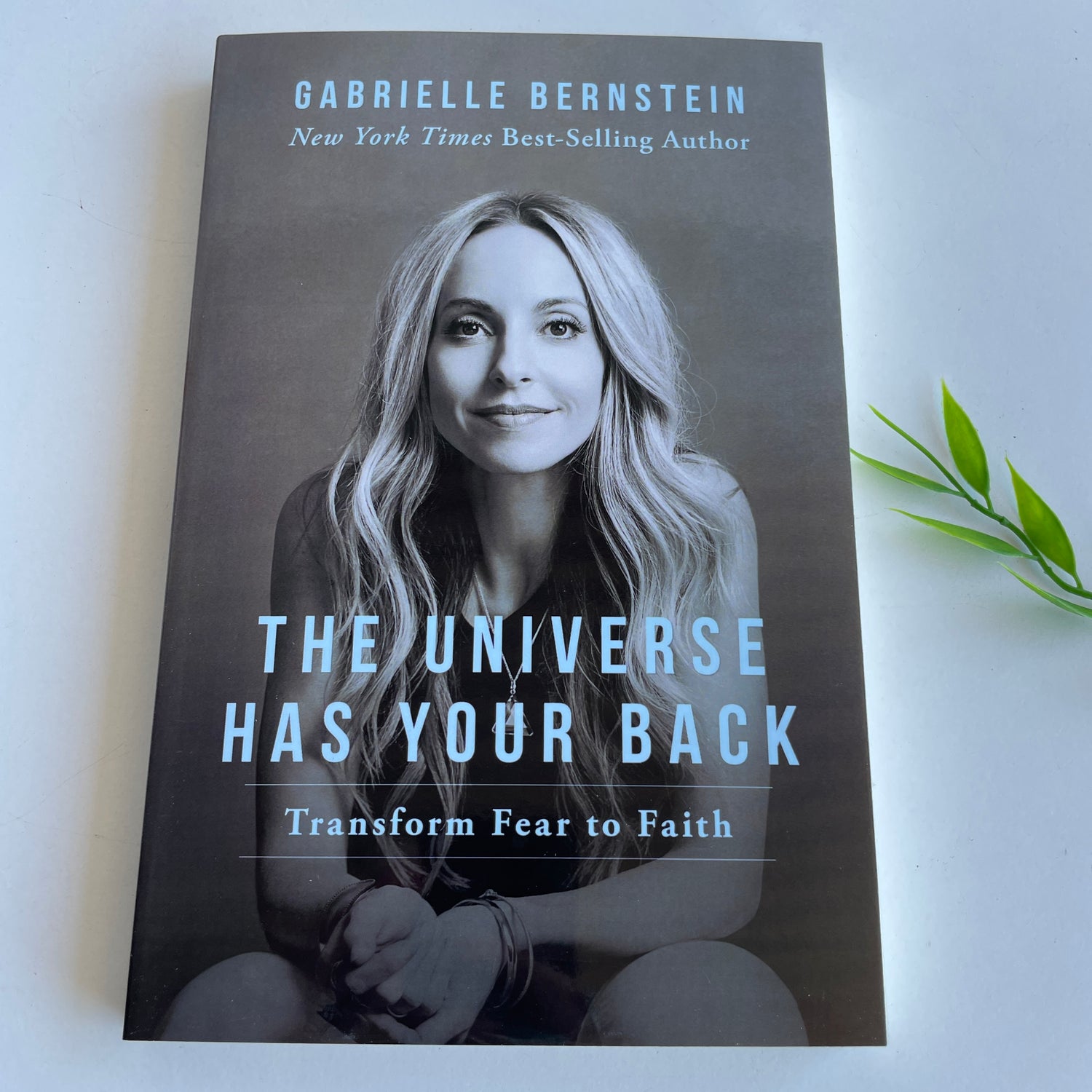 The Universe Has Your Back Gabrielle Berstein