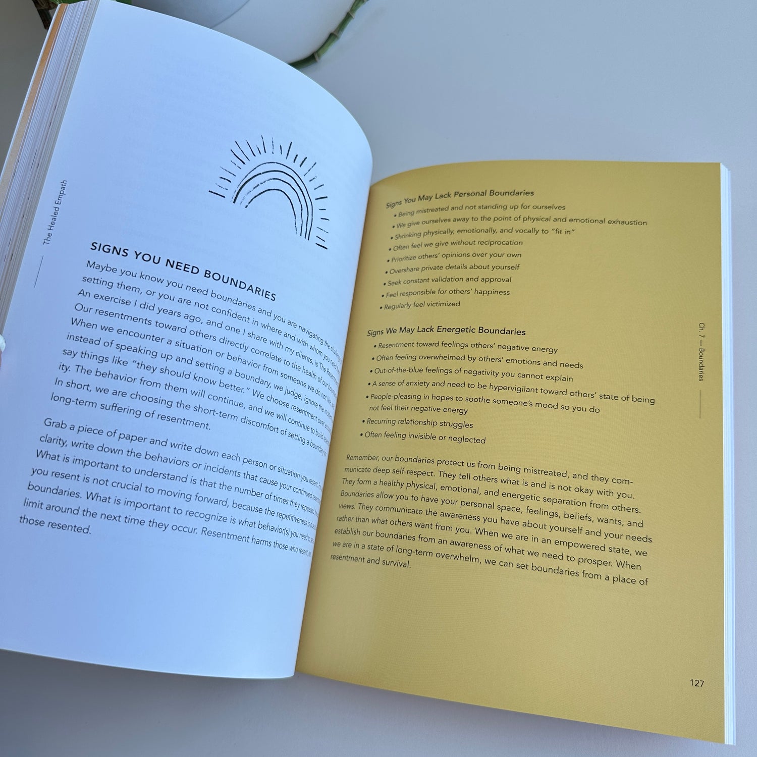 The Healed Empath Kristen Schwartz