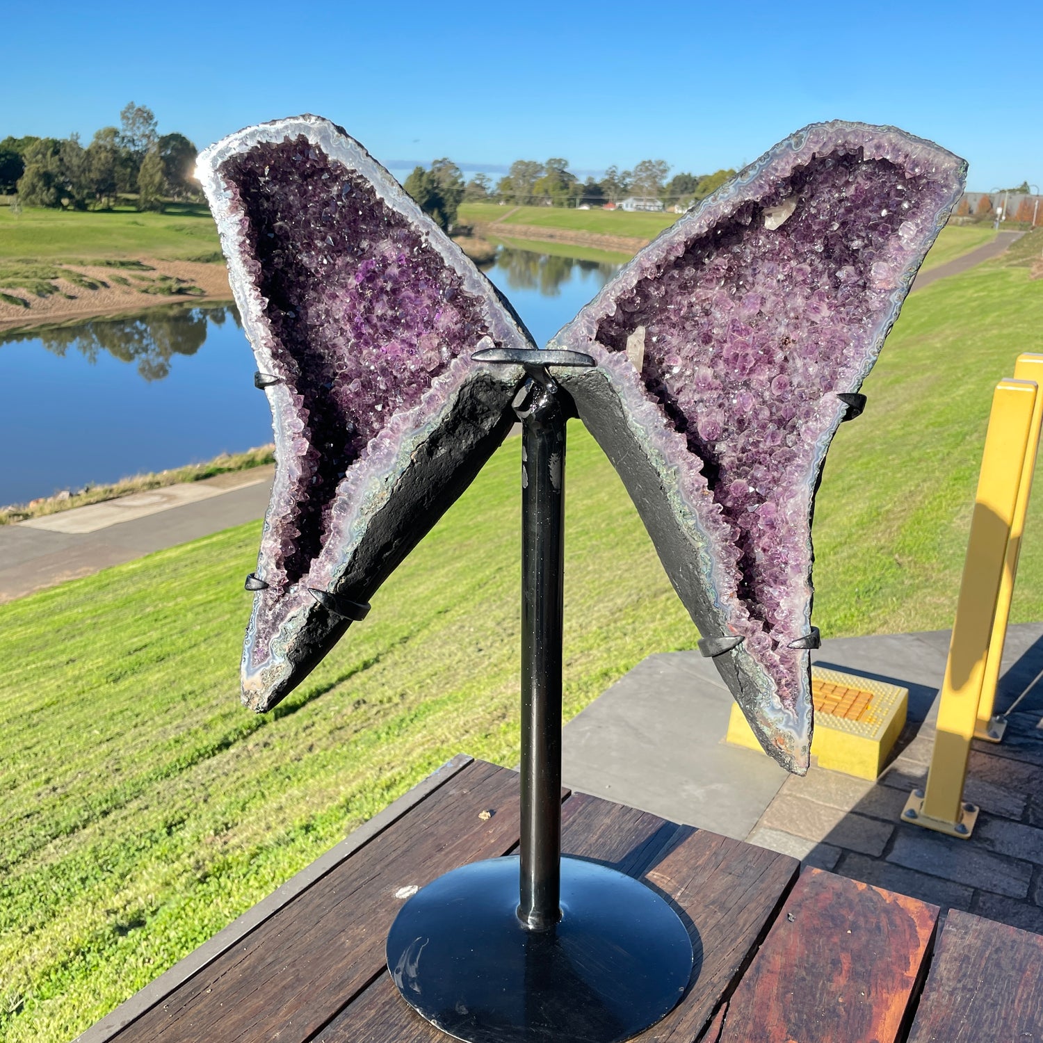 Amethyst Geode Wings In Stand 12.770kg