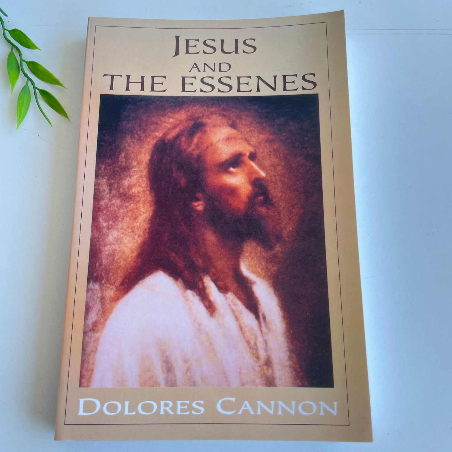 Jesus And The Essenes Dolores Cannon