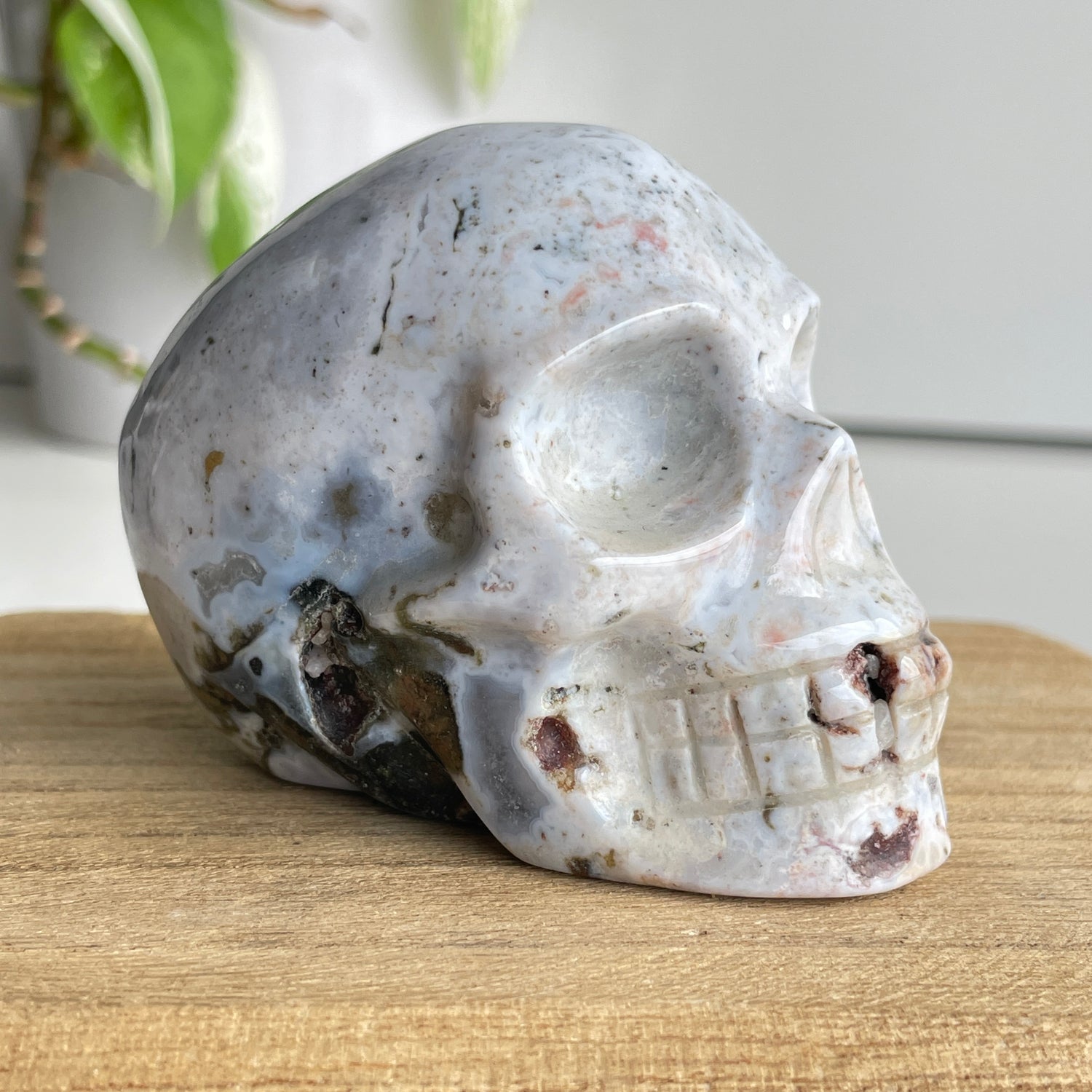 Ocean Jasper Skull 8.1cm
