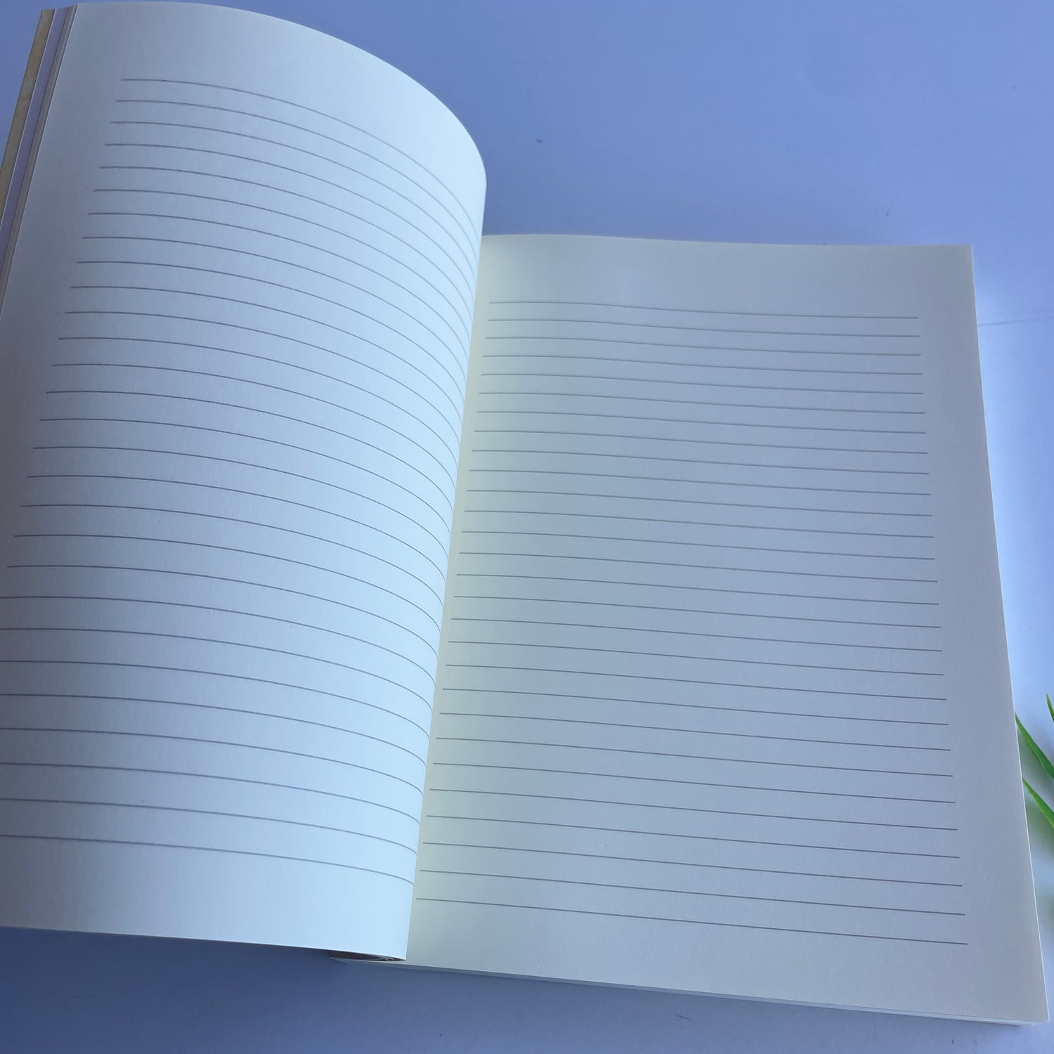 Secret Language Of Your Soul Journal Inna Segal