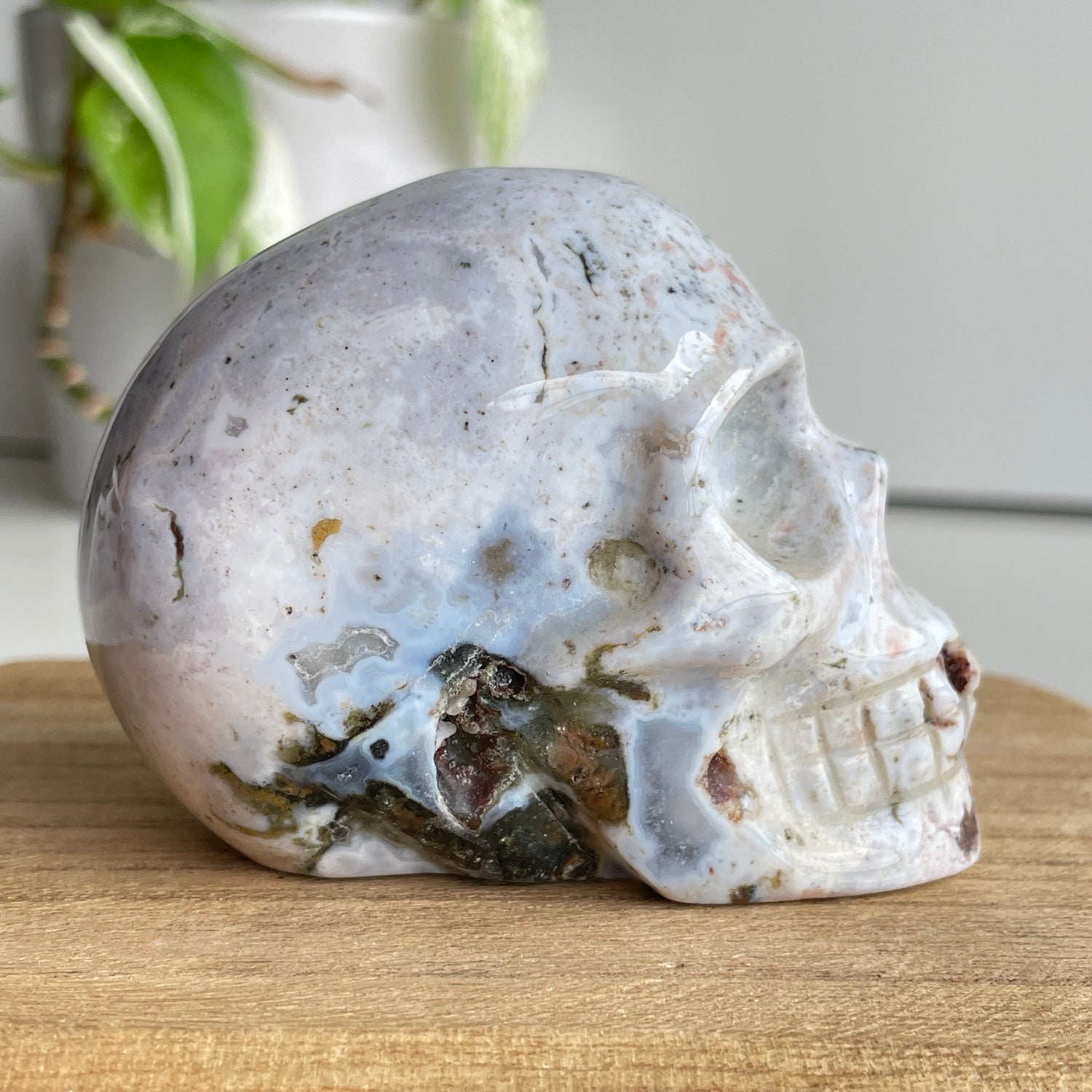 Ocean Jasper Skull 8.1cm