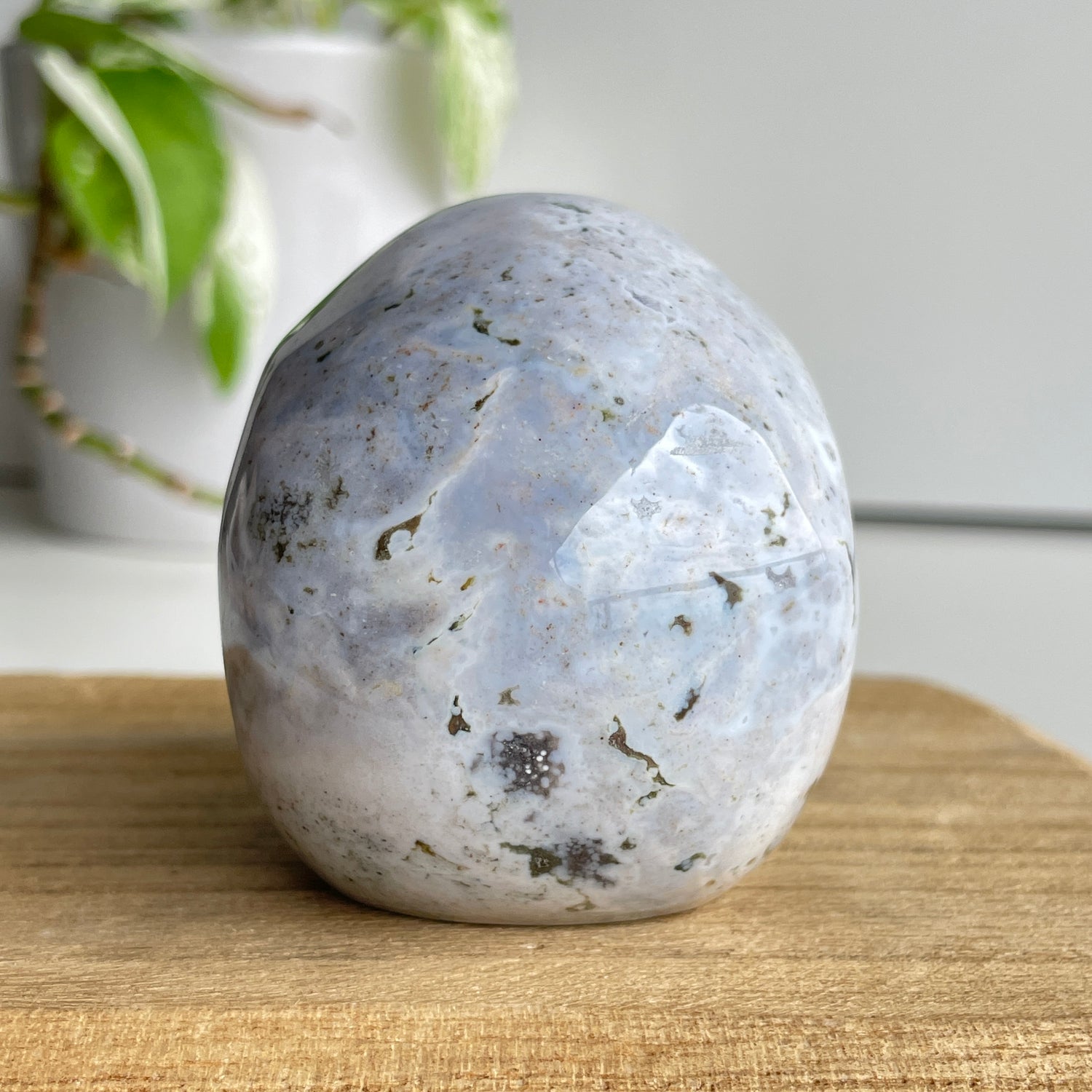Ocean Jasper Skull 8.1cm