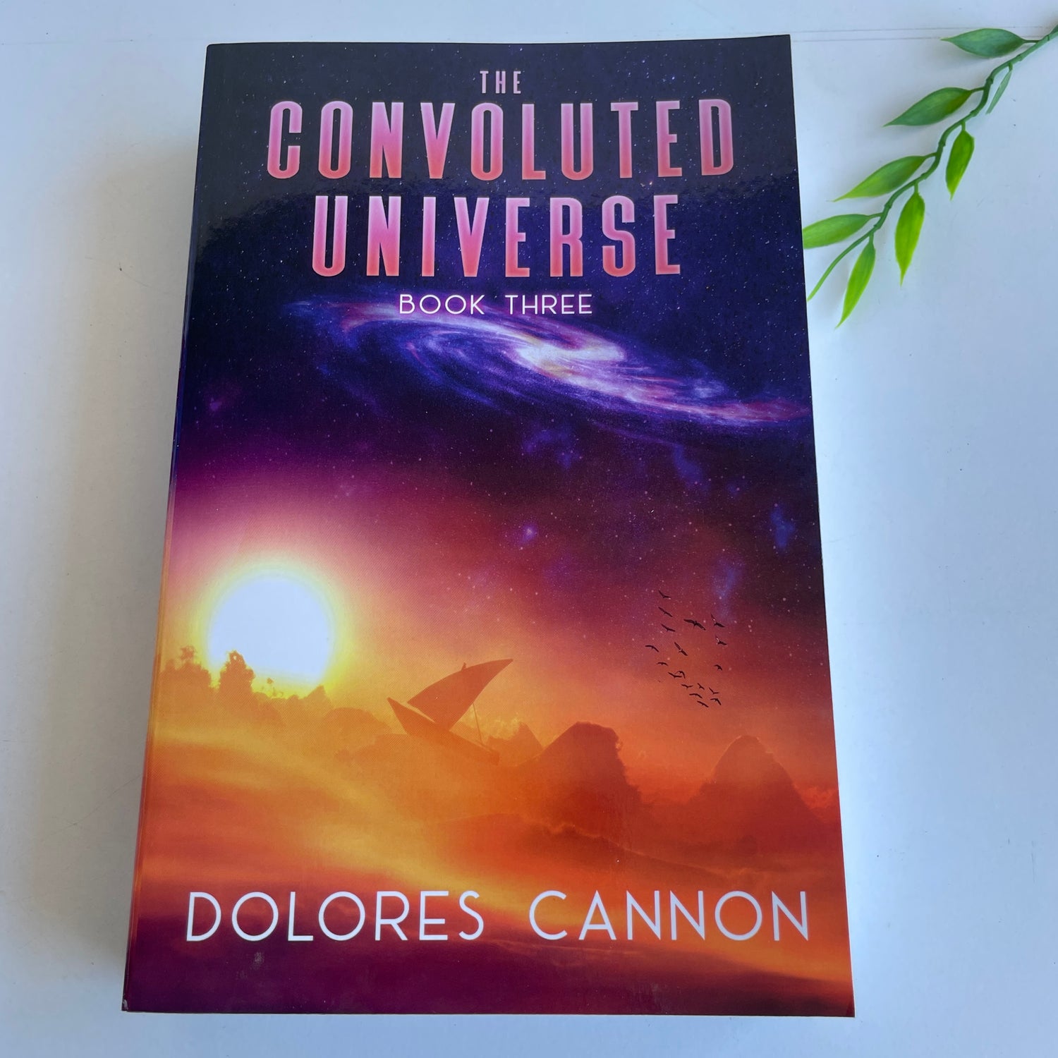 Convoluted Universe Book 3 Dolores Cannon