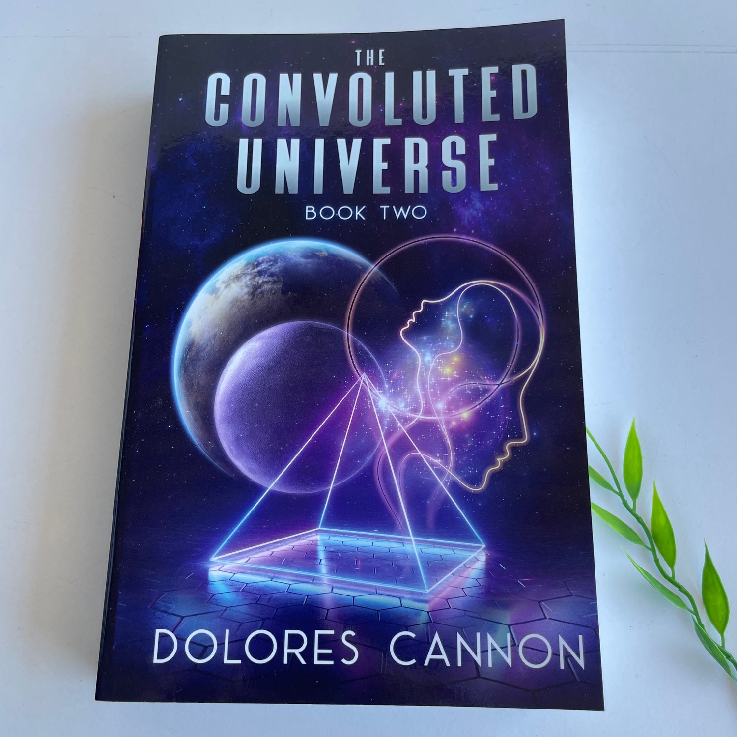 Convoluted Universe Book 2 Dolores Cannon